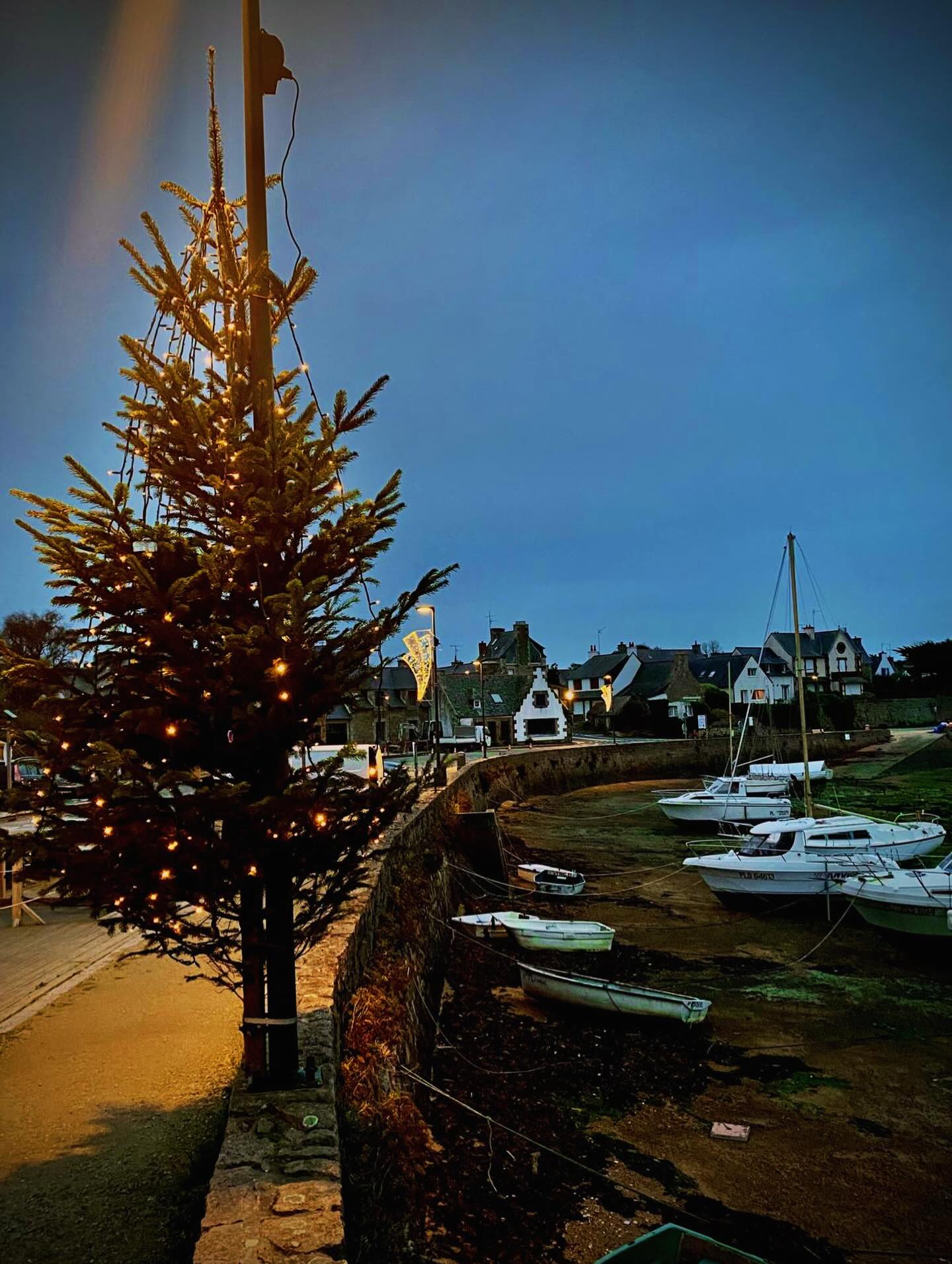 Ça y est, le #sapindenoël du port de #ploumanach s’illumine 🤩
Il marque le début de la saison des fêtes J-27 🙏
#noel
#perrosguirec
#bateaux
#villaperrosienne
#tourismebretagnenord
#cotedegranitrose