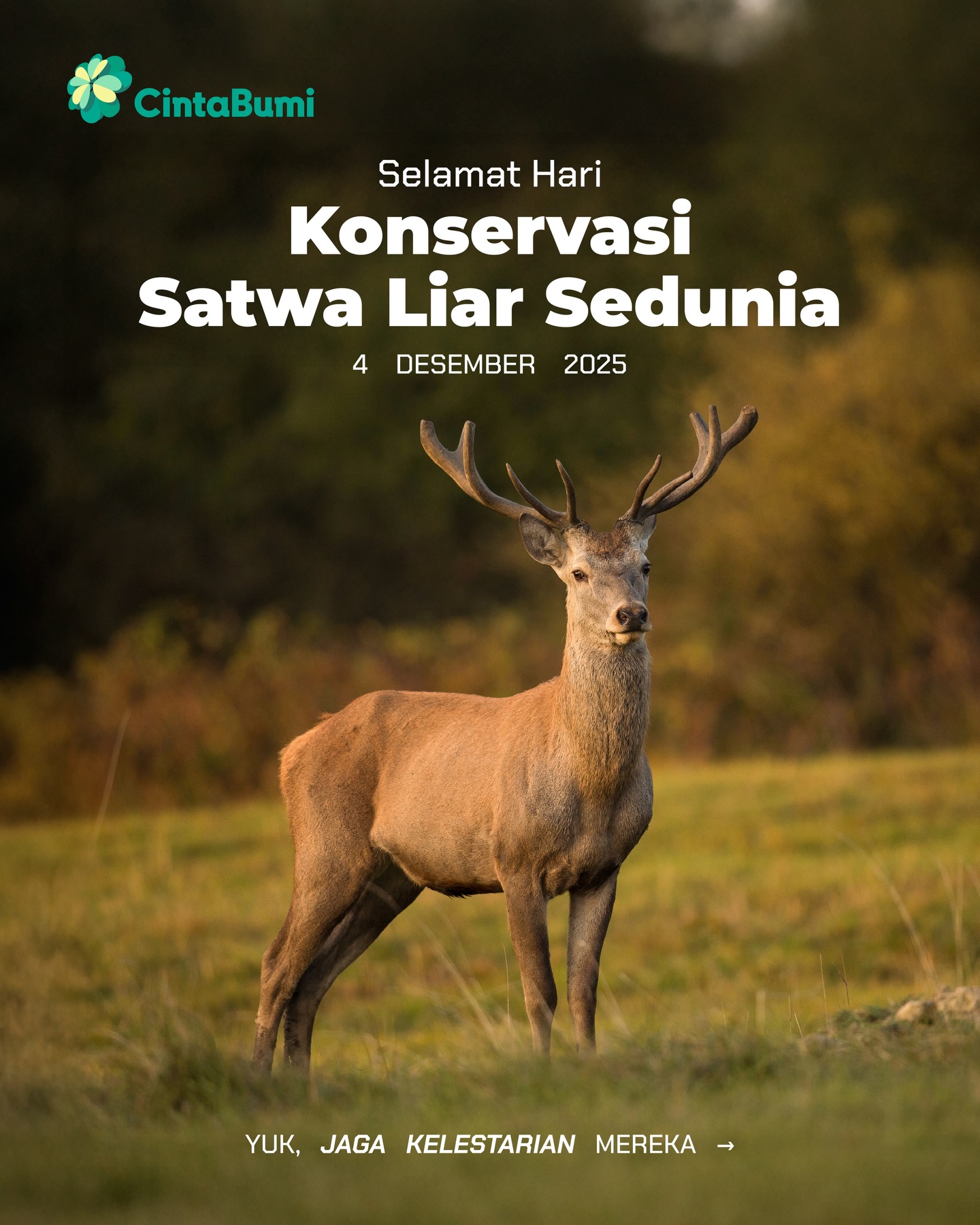 ๐ฆ๐ฒ๐น๐ฎ๐บ๐ฎ๐ ๐๐ฎ๐ฟ๐ถ ๐๐ผ๐ป๐๐ฒ๐ฟ๐๐ฎ๐๐ถ ๐ฆ๐ฎ๐๐๐ฎ ๐๐ถ๐ฎ๐ฟ ๐ฆ๐ฒ๐ฑ๐๐ป๐ถ๐ฎ ๐พ๐
Satwa liar perlu kita lindungi supaya ekosistem tetap sehat dan anak cucu kita masih bisa lihat mereka hidup bebas di habitatnya ๐ฆ๐ฆฃ๐ฆ๐ข
โก๏ธ Swipe untuk lihat aksi simple yang bisa kamu mulai hari ini โจ๐ฑ