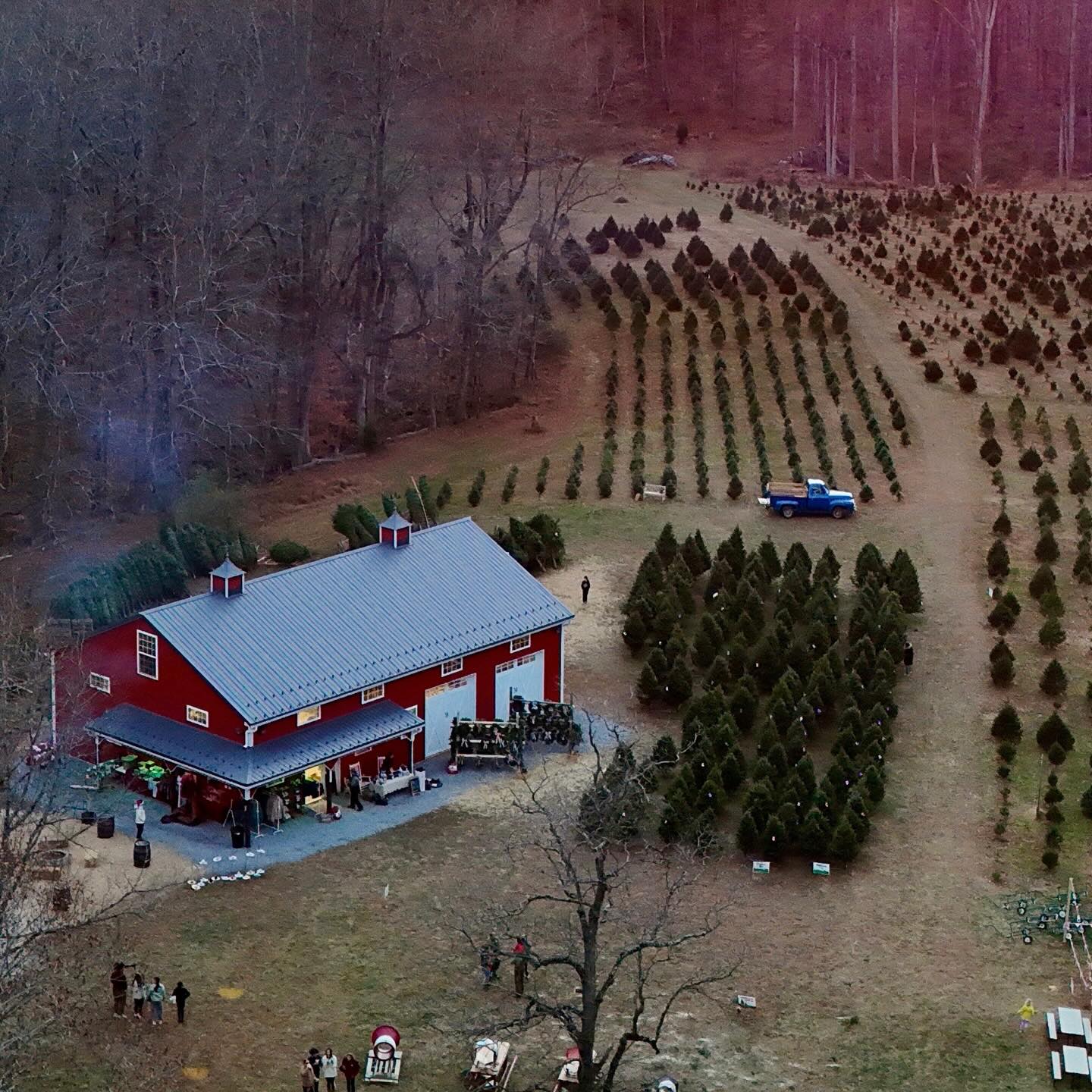 FARM UPDATE! 🌲✨ A little update on what we have available: Our choose and cut field is getting limited, with a few more trees in the 7’-8’ range, primarily Carolina Sapphires. We have an excellent selection of pre-cut Balsam & Fraser Fir 6’-10’ with a few over 10’ left!
We will still have wreaths, garland, door swag, and plenty of gifts! Cocoa Cabin will be brewing fresh drinks along with @madbyrdconfections made to order donuts. We can’t wait to see you all tomorrow and Sunday!
We can’t thank all of our customers enough for coming out on our 2025 opening day! 🤗
#christmastreefarm #southernmaryland #maryland #marylandchristmas #marylandchristmastreefarm