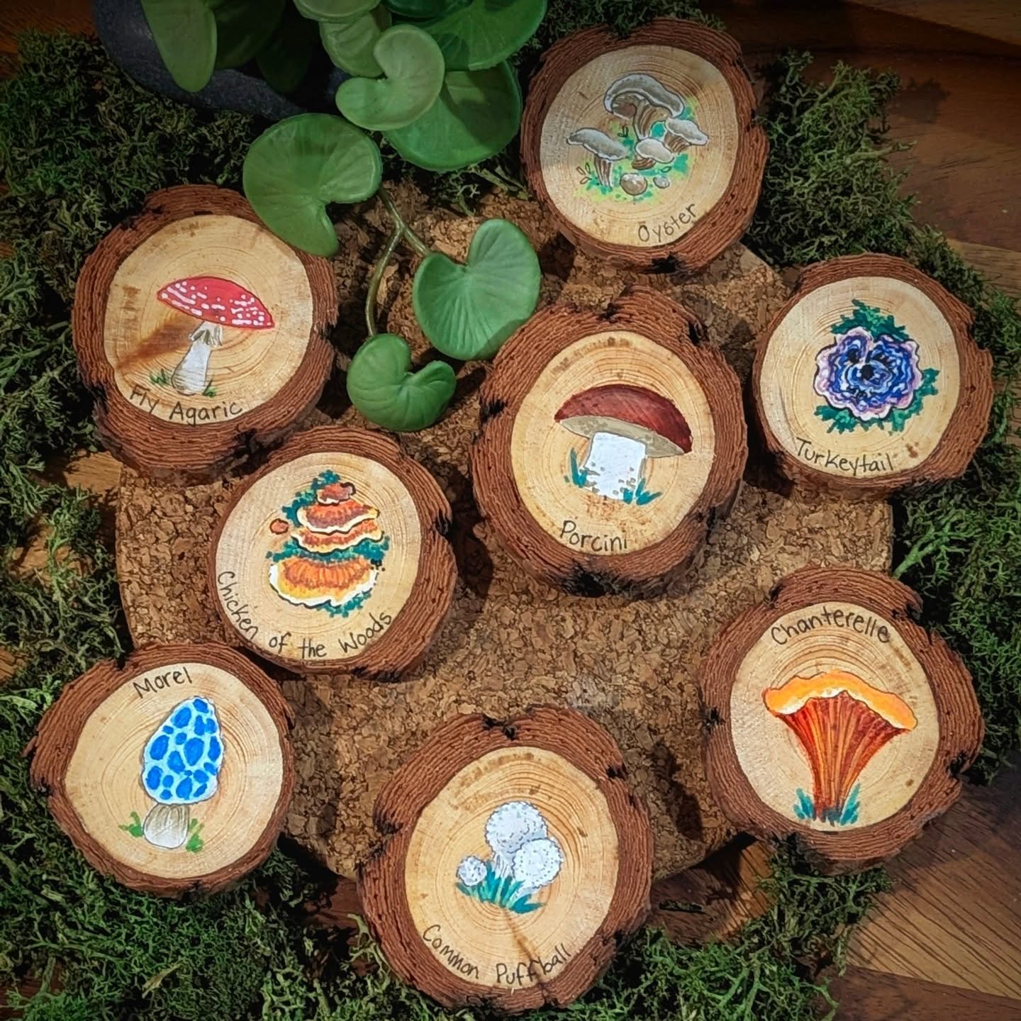 Looking for a fun and educational way to introduce kids to the fascinating world of mushrooms? Our handcrafted wood rounds featuring charming mushroom designs are the perfect choice! Each piece is skillfully painted, showcasing various locally found mushroom species in a colorful and engaging way.
These wooden rounds are ideal for sensory play, homeschooling activities, or nature-themed decor. They help children learn to identify different mushrooms safely while fostering curiosity about the environment. Made from high-quality, sustainable wood, they are durable and safe for children.
Perfect as educational tools, gifts, or classroom accessories, our mushroom wood rounds inspire a love for nature and mycology. Bring a touch of the great outdoors inside—order yours today and make learning about local mushrooms both fun and memorable!
Set of 8 for $30
#mushrooms🍄 #earlylearning