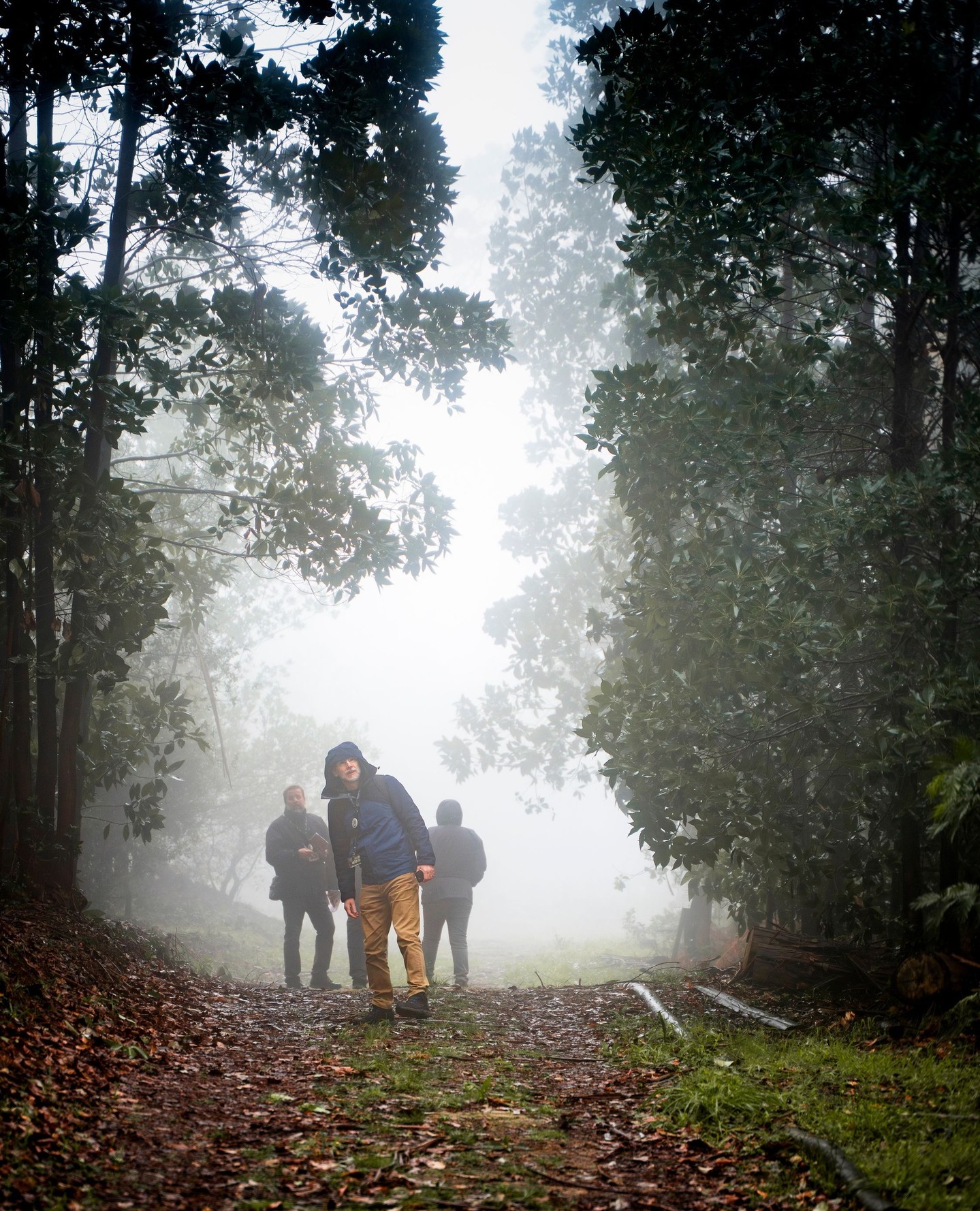 📔🍃✍🏼 Caderno de Campo: uma Caminhada pela Tapada D. Fernando II
Nesta última página do Caderno de Campo Sintra PH30, deixamos um registo sobre a frondosa Tapada de D. Fernando II, situada junto ao Convento dos Capuchos, e que foi aforada à Câmara Municipal de Sintra pelo Rei D. Fernando II, em 1873. Encontrava-se, à época, desarborizada, à semelhança de grande parte da Serra de Sintra que era intensamente pastoreada e procurada pelas lenhas. Tal como o coberto vegetal do Convento dos Capuchos, a vegetação original seria dominada por carvalhos. É já no início do séc. XX que se dá a sua rearborização sobretudo com recurso a pinheiro bravo (Pinus pinaster).
Foi por aqui que os participantes da atividade de BTT | Caminhada se desafiaram a descobrir este marco do Património Natural de Sintra: a sua história, o seu microclima e geologia e de que modo tem sido alterada pela intervenção humana ao longo dos séculos.
#cadernodecampo #sintraph30 #sintraph #patrimóniocultural #worldheritage #unesco #unescosite #opatrimónioécool #30anos30ações #visitsintra #landscapedesign #naturalheritage #naturalhistory #tapadadedfernandoii