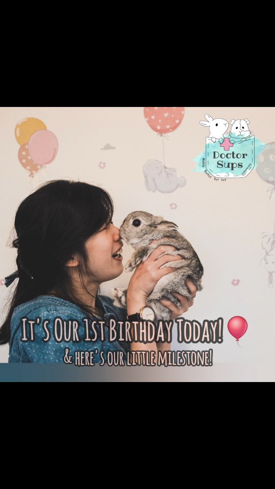 A year ago today, Doctor Sups Veterinary opened our doors.
What started as a small dream inspired by my little bunnies has grown so much over the past year. I’m incredibly grateful to every family who has welcomed me into their homes and entrusted me with their precious little ones.
With the year now coming to an end, I wanted to share this little milestone of Doctor Sups Veterinary, featuring a very special family of bunnies. This family chose me as their veterinarian 9 years ago, during my first year in practice, and while we’ve said goodbye to some friends and welcomed new ones, what hasn’t changed is the relationship and understanding we've built. I feel extremely privileged to now be caring for them in the comfort of their home.
Thank you to everyone who has supported us and made this first year possible — here’s to many more years of meeting your little ones in the comfort of your own homes ❤️.
Sincerely,
Dr. Supanee
Doctor Sups Veterinary
#doctorsupsveterinary #doctorsups #pocketpetvet #mobileveterinaryservice #rabbitcare #guineapigcare #ratcare #mousecare