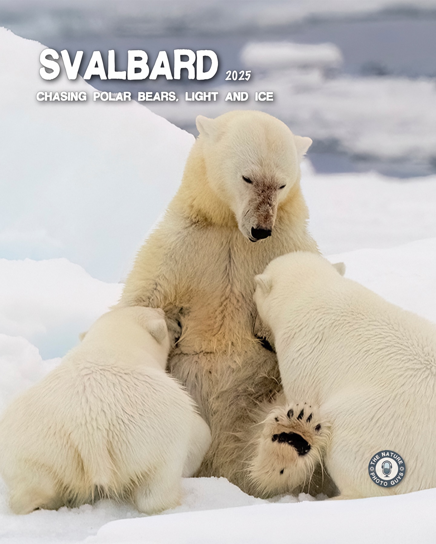 📷 NEW EPISODE 🎙️
Svalbard 2025 Chasing Polar Bears, Light & Ice 🐻❄️❄️
Chris and Joe break down Joe’s 2025 Svalbard photography expedition, sharing what it’s really like to photograph polar bears and wildlife in the High Arctic.
From life aboard the expedition ship and long days on the pack ice to polar bears, walrus encounters, birdlife, and dramatic Arctic light, this episode pulls back the curtain on High Arctic expedition photography.
If you love wildlife photography, adventure travel, and remote places, this episode is for you.
📺 Watch the full episode:
www.youtube.com/TheNaturePhotoGuys
#thenaturephotoguyspodcast #svalbard #sharecangeo #joedesjardinsca #polarbearphotography #cangeotravel #arcticphotography #footprintsinnature