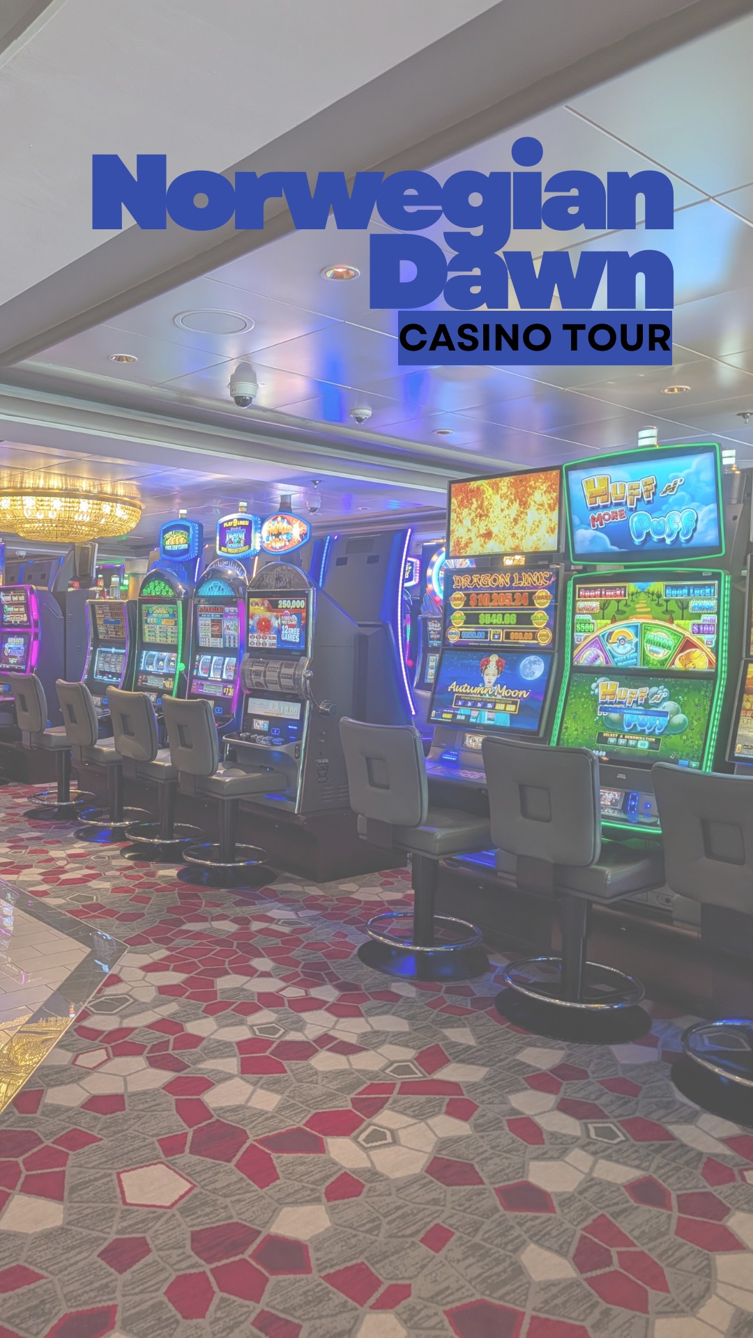 Welcome to the Dawn Club Casino aboard the Norwegian Dawn 🎰✨
From the flashing lights to the sound of jackpots, this is where the energy never stops. Whether you’re into video poker, blackjack, or the slots, there’s always something happening here.
🃏 Tables for every skill level
🎰 Rows of classic and modern slot machines
🍸 Full-service bar
💵 Players can earn rewards through Casinos at Sea
Where would you try your luck first?
📍Norwegian Dawn | Norwegian Cruise Line
Link in bio for more cruise content ✈️
#NorwegianDawn #NorwegianCruiseLine #CruiseLife #CruiseCasino #CasinosAtSea #TravelTok #CruiseVacation #LuxuryTravel