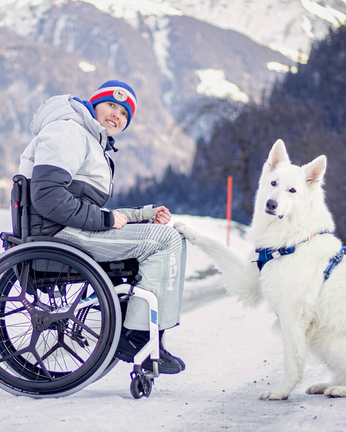 🏔️ Journée internationale de la montagne : aujourd’hui, on prend un bol d’air avec Milena !
Notre ambassadrice @milena_surreau , passionnée de sport et d’altitude, continue de repousser les limites toujours accompagnée de son fidèle compagnon 🐕💙
Et bien sûr, équipée de ses roues DREEFT, qui lui permettent d’explorer les pentes et les sentiers en toute confiance.
‼️ Si vous allez à la montagne cet hiver, restez prudents DREEFT ne remplace pas des skis 🎿!
📸 Merci Milena de nous faire découvrir ton terrain de jeu préféré 🗻❄️ !
#JournéeInternationaleDeLaMontagne #DREEFT #EPPUR #Handicap #Mobilité #Montagne #WheelchairLife #Accessibilité #Outdoor