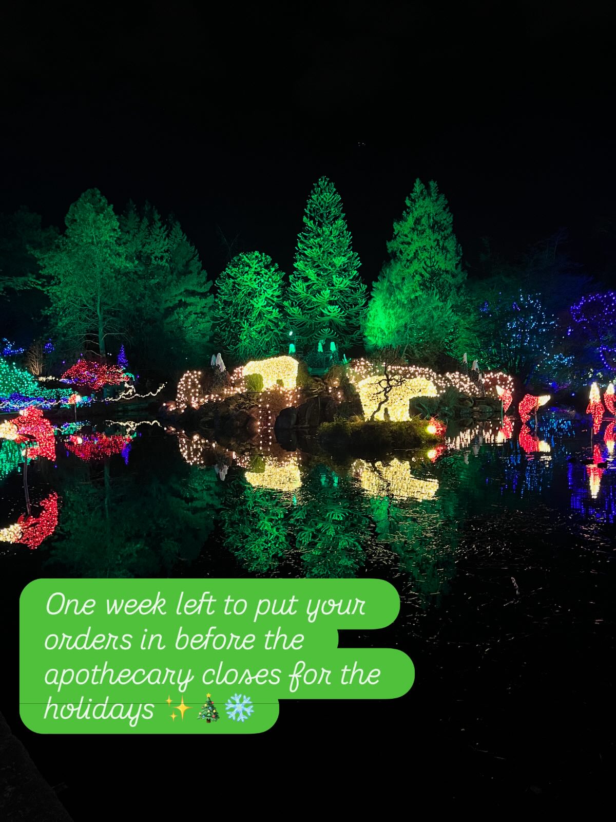 December 19th is the last day to order for shipping before the new year. The apothecary will be closed until January 1st and will be back to regular hours January 2nd. Thank you to everyone that supported Bitter Roots this year. Wishing everyone a joyful holiday ✨#traditionalchinesemedicine #eastasianmedicine #chineseherbs #herbalmedicines