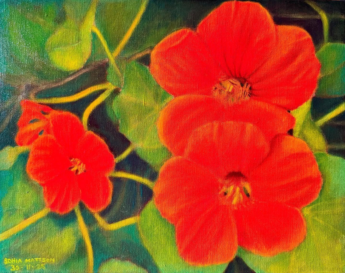 Nasturtiums
Oil on linen
35.5 x 36 x 3.5 cm
14“ x 18”x1.5”
#flowers #artoflife #nasturtiums #brightenmylife #floralart
#oilpaintingoncanvas #oiloncanvas