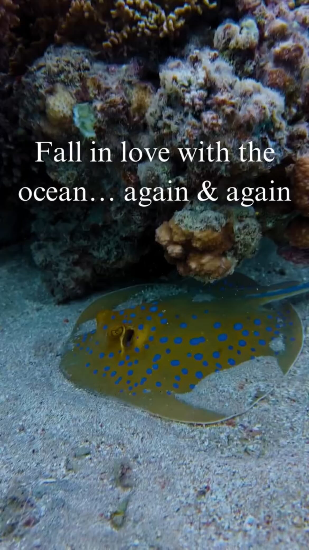 Fall in love with the ocean again… and capture it like never before. ProShotCase is 20% off for a limited time! #proshotcase