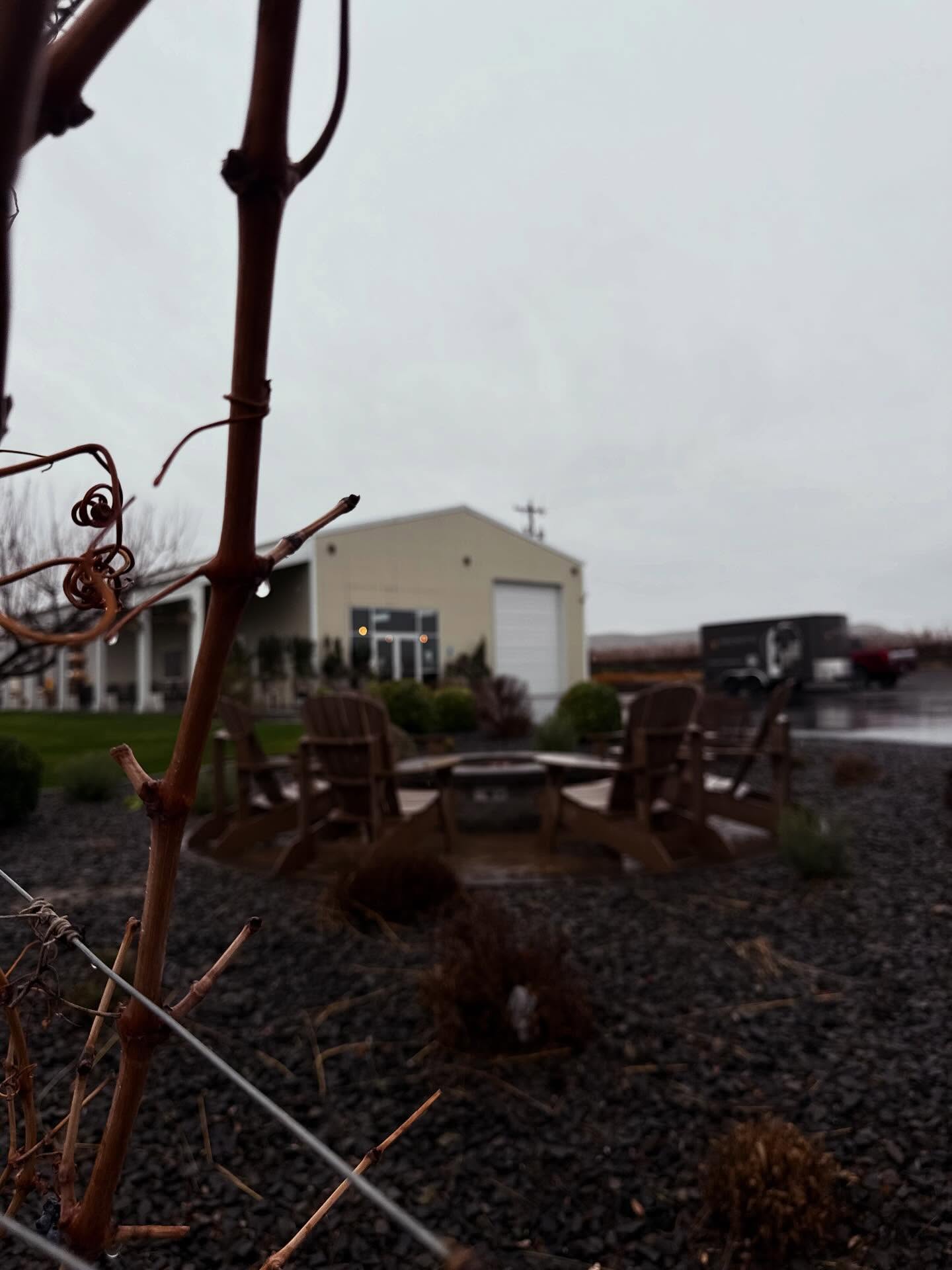 It’s a rainy day on Red Mountain. Let us know what wine you would match with the mood?
Semillon– bright, fresh, and quietly comforting
Malbec – plush, dark, and soulful
Cabernet Sauvignon – bold, grounding, and classic Red Mountain
Merlot – smooth, mellow, and easy to linger with
Red Blend – layered, cozy, and made for unhurried moments
Rainy days have a way of reminding us to pause. To pour a glass. To sit by the window. To let time slow down just enough to notice what’s in the glass.
Drop your pick in the comments.
Then pour yourself a glass of Red Mountain wine, take a deep breath, and enjoy “slow down”.
Local to West Richland, Benton City, Pasco, Kennewick and Richland? Our cozy tasting room is only a few miles away.
We are open daily Noon to 5pm.