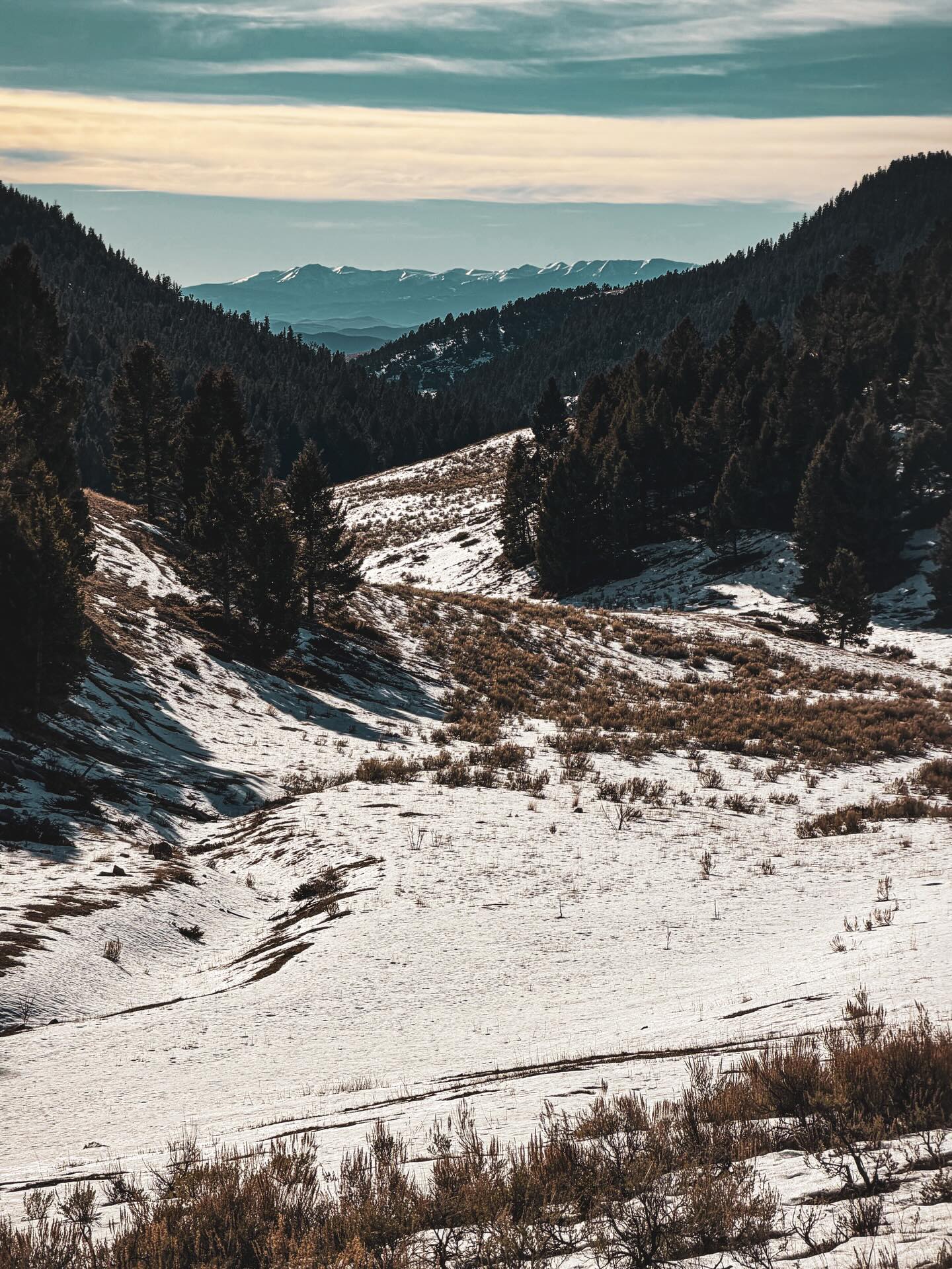 It was a gorgeous day for a hike! 50 degrees and sunny…in Montana…in the middle of December… 😳