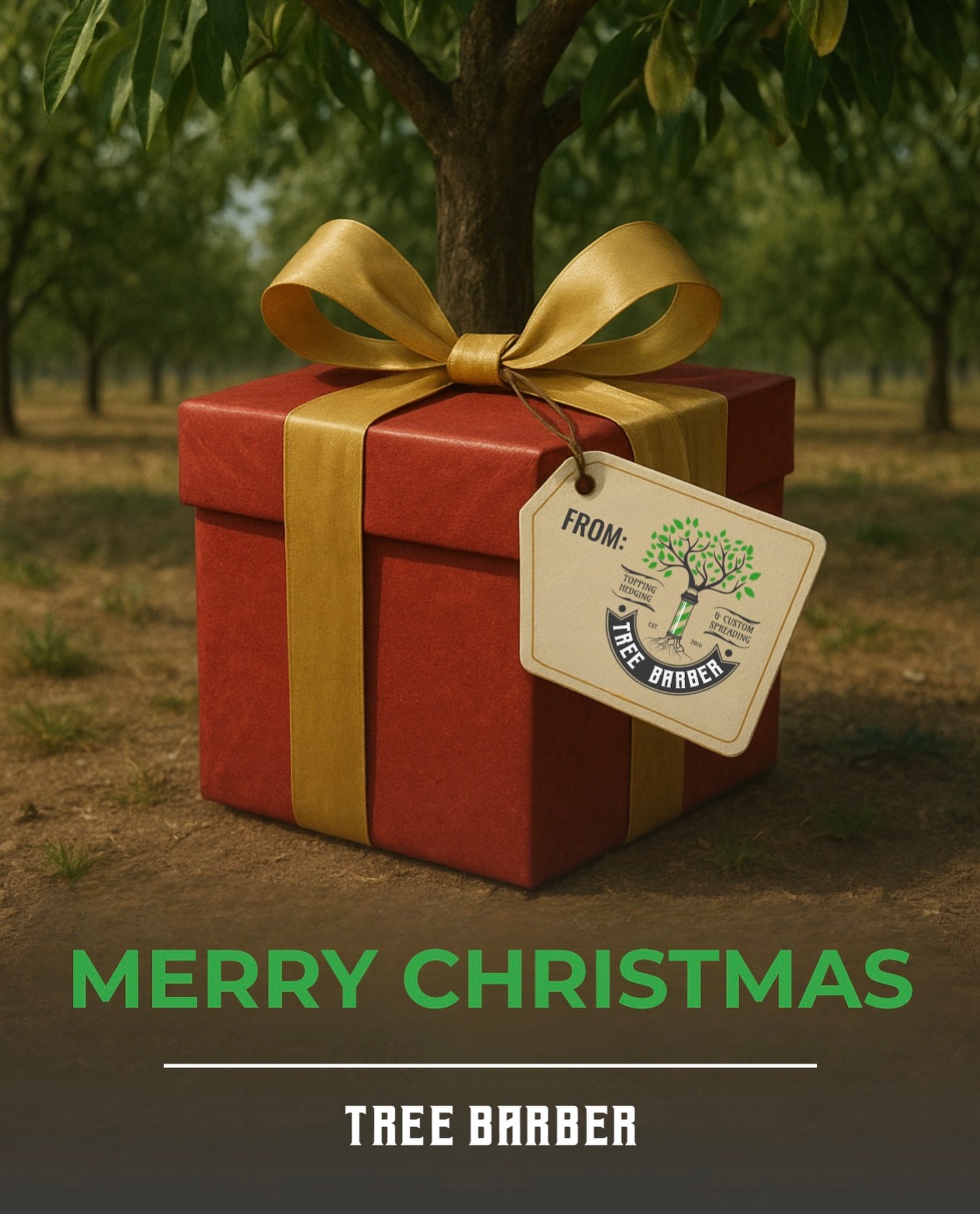 This Christmas, give your trees the gift of growth 🎁🌳
Tree Barber’s compost and gypsum spreading keeps your orchard healthy and ready for next season.
#TreeBarber #AgServices #Topping #Hedging #CustomSpreading