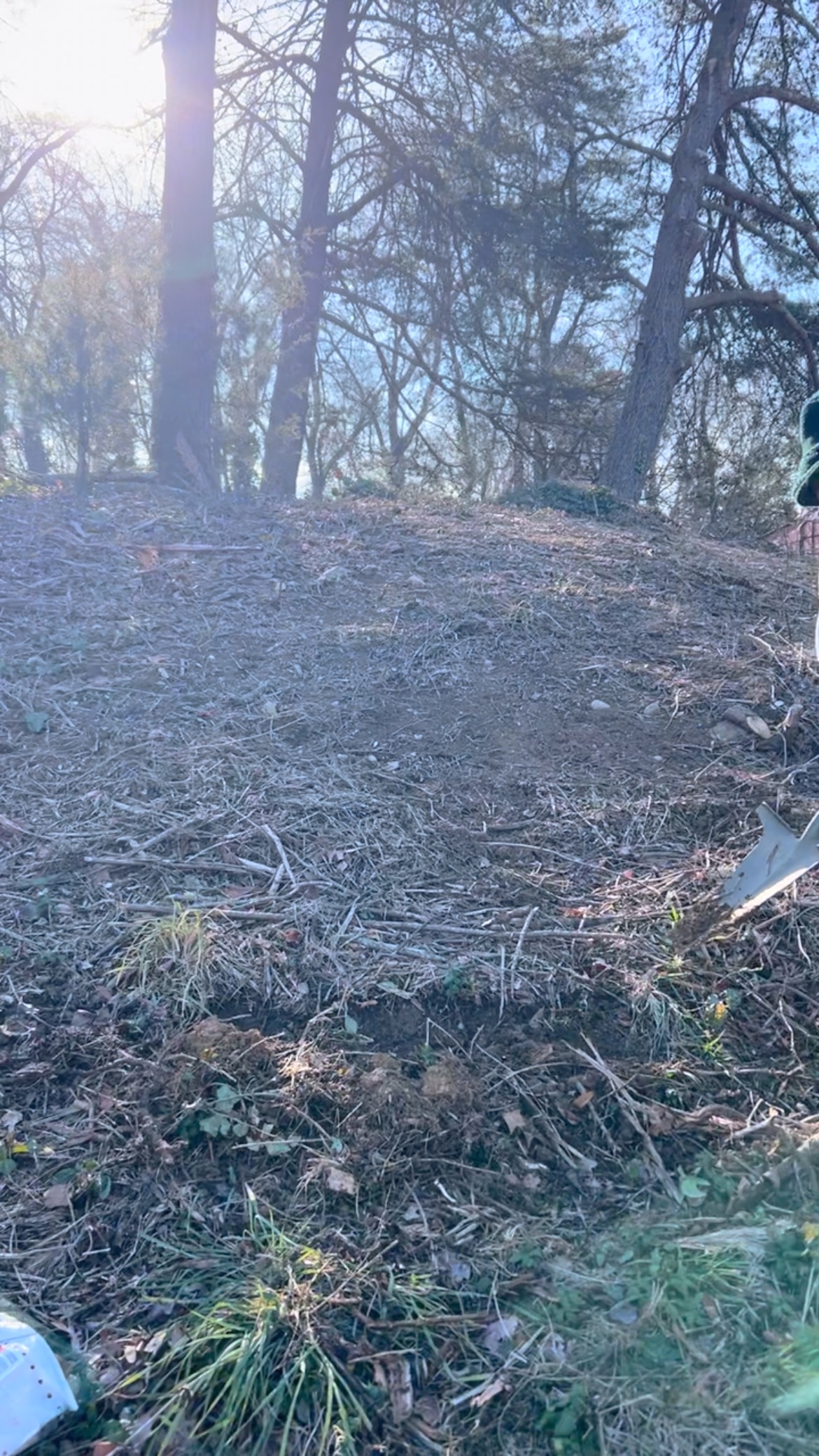 How many bulbs can 6 people plant in an hour? The answer is about 200! Thanks to our volunteers who showed up today to beautify our grounds. Can’t wait to see how they turn out this Spring! Happy Advent, All Saints fam!