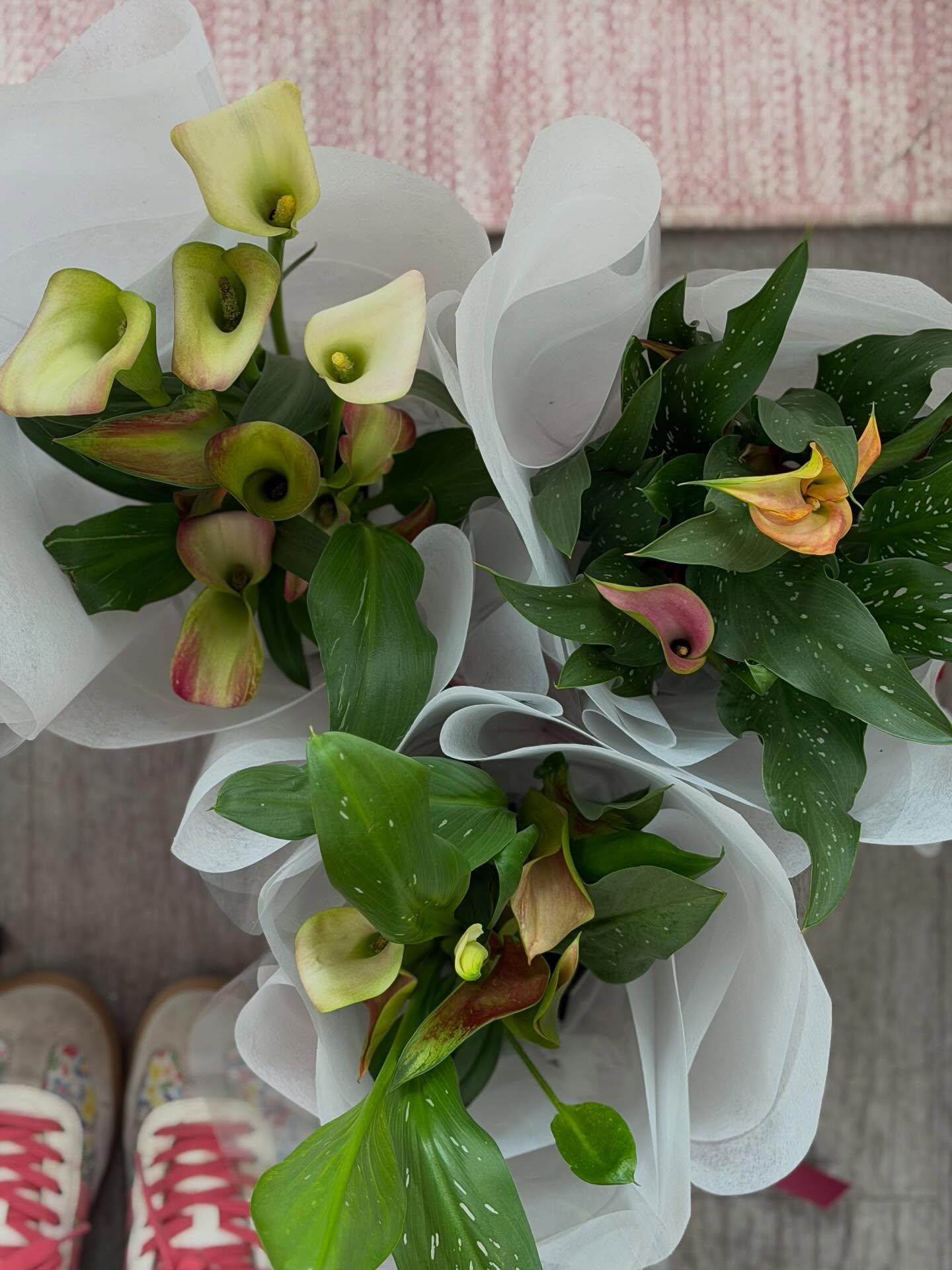 Need a quick present?
Grab a stunning Calla Lily, sure to please.
$35🌷. OPEN SUNDAY- 9-12.30.
