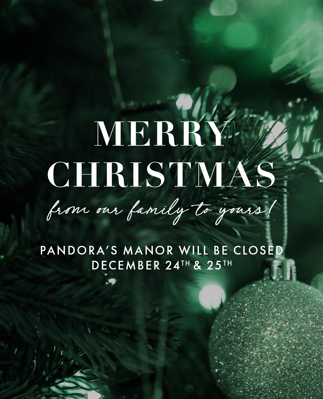 We will be closed December 24th and 25th for the holidays. We will be back on Friday, the 26th. Happy holidays!âď¸