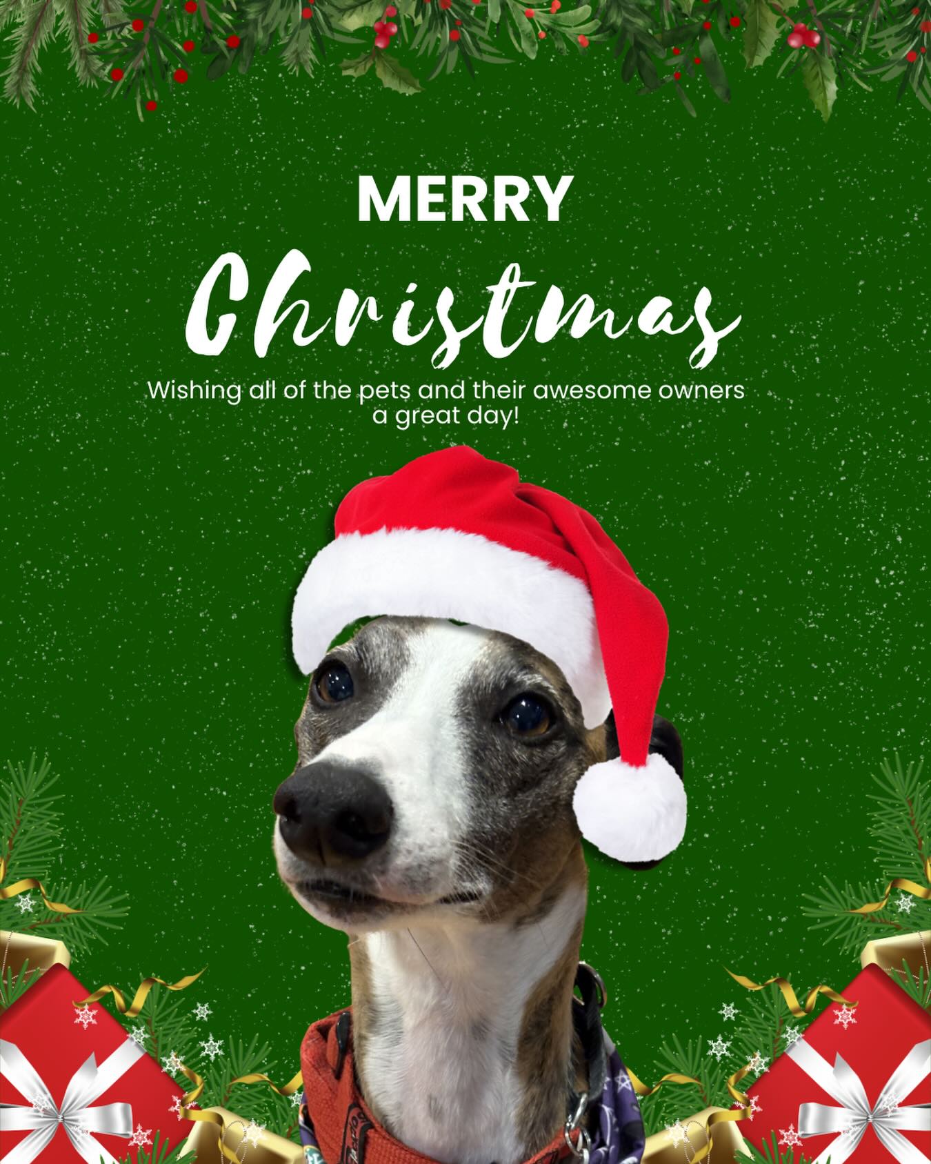 Merry Christmas everyone. Wishing all the pet owners a great day full of food and fun and all of the pets plenty of safe table scraps 🐶