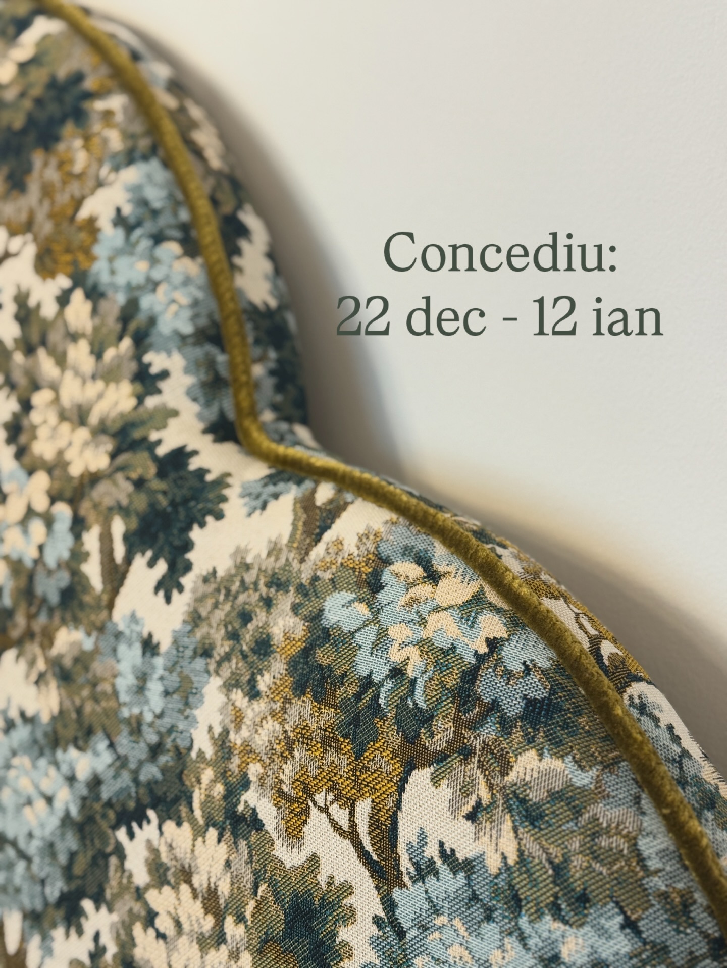 Intrăm în concediu până pe 12 ianuarie.
Să aveți Sărbători liniștite și un An Nou cât mai bun!🥂