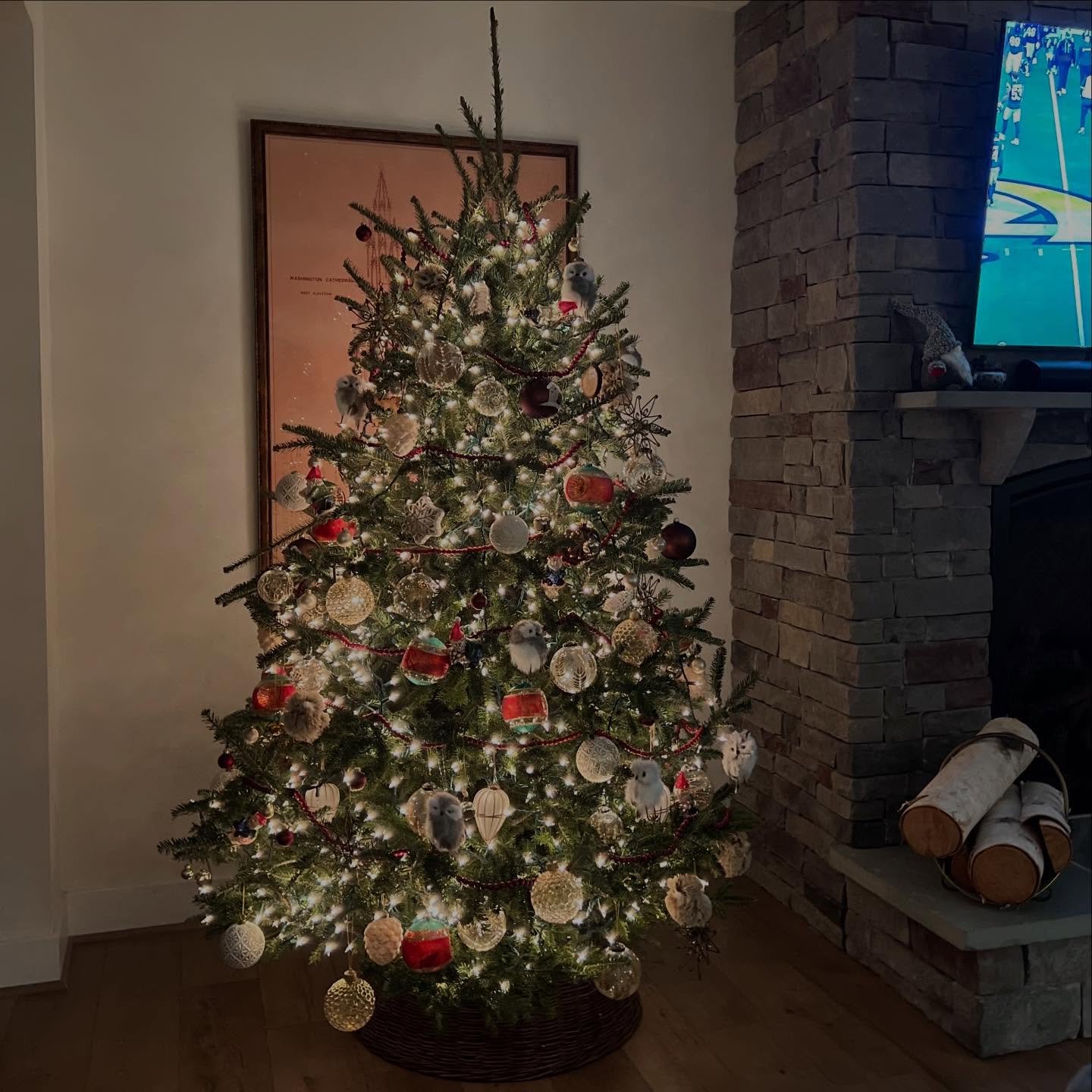 One of our favorite parts of the season is seeing your trees come to life ✨🎄Show us your decorated trees and new ornaments! Head to our Stories to submit your photos ❤️
#christmastreefarm #southernmaryland #maryland #marylandchristmas #marylandchristmastreefarm