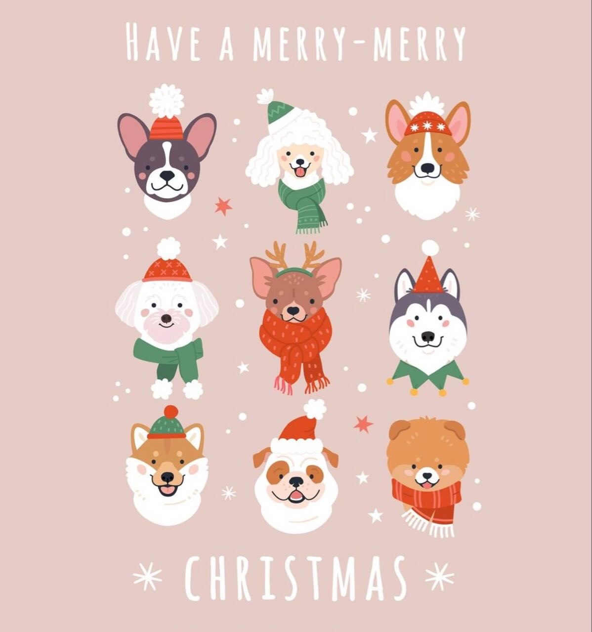 Merry Christmas to everyone who celebrates!! We hope you all have a great holiday. We’d love for you to share some pictures of your furry friends during the holiday!!