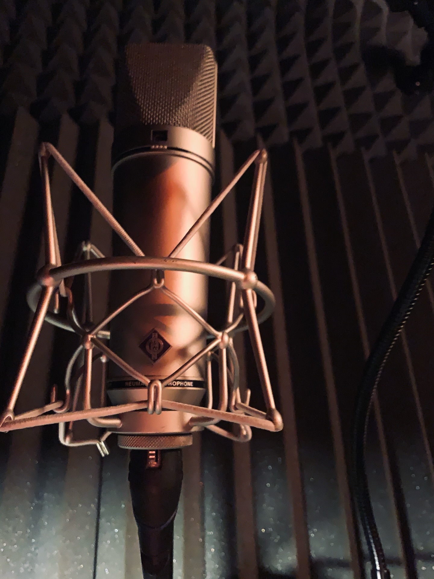 It’s recording season!! 🔴 Openings THIS WEEK & NEXT!! Message for info!!