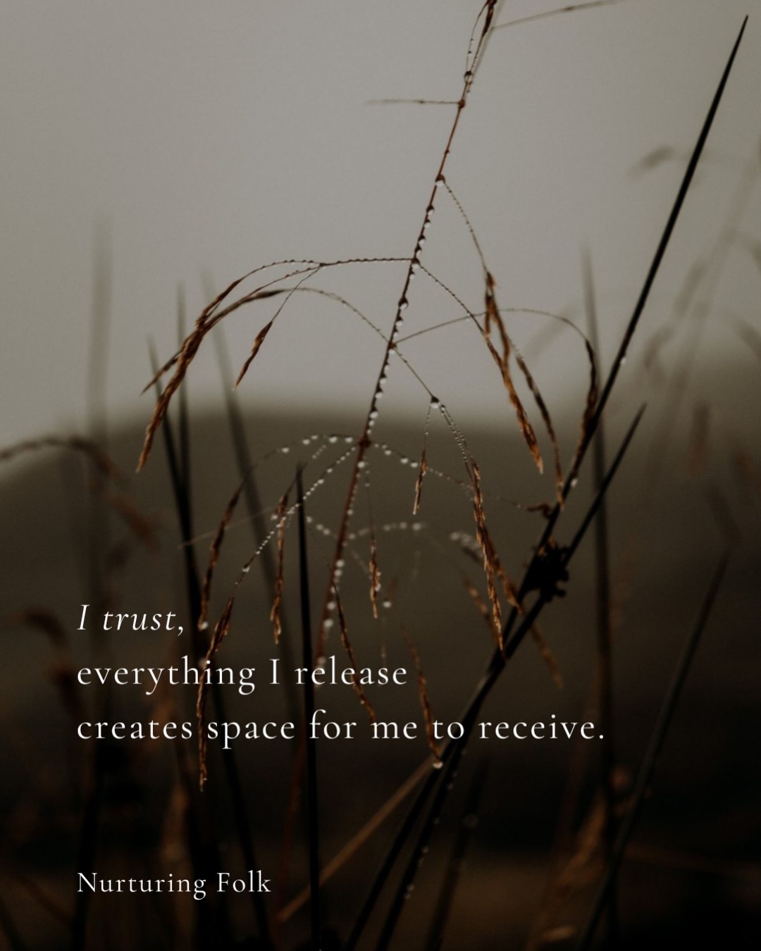 I woke up this morning feeling lighter, the birthing contractions of solstice having eased.
The pause is relief… and grief.
There is always a little sadness as we let go.
So I remind myself, everything I release creates space for me to receive.
This year has been spoken about as the year of the snake. A year 9 all endings, shedding & cycles completing.
And ahead waits the year of the horse, A year 1, beginnings, momentum and movement.
But it’s worth remembering life doesn’t move in clean handovers.
We are not done shedding just because a new beginning is calling. In a spiral there is both the winding and the unwinding.
The snake will continue to ask things of us as we begin to learn how to ride the horse.
There will be overlap and backsliding.
We will contract again as we expand.
There will be grief as we begin.
December through to spring feels like a long birth canal, life and death blurred, release and receptivity in constant conversation.
I can feel so much alive in me right now.
Old wounds, old versions, parts of me that died some kind of death, only to be mulched into making me who I am.
This morning I cried for the new mum who did it alone with a broken heart, two babies and no map. I am letting go of doing things alone
And alongside the grief, I felt the beauty there.
The simplicity of not knowing.
So while yes, after solstice the light begins to return, remember the bigger cycle. We are wintering.
This is a time for darkness and trust and listening and dreaming. Less doing, more being.
More stillness, more discomfort and softening as we are unravelling and releasing.
I don’t know what’s coming and for the first time in a long time, I don’t need to know, I am here in the dark, heart raw and trusting.
It hurts.
And I’m sharing this because the season ahead can feel contracting. Roles collide, recourses thin, masks get heavier and holiday time can push us past capacity.
So do what you need to come through Christmas in one piece.
Keep releasing.
Keep listening.
Keep trusting.
Everything you are releasing is making room for your recieving.
I love you. Go gently.
This was meant to find you.
xx
#slowdown #seasonalliving #wordstoliveby
