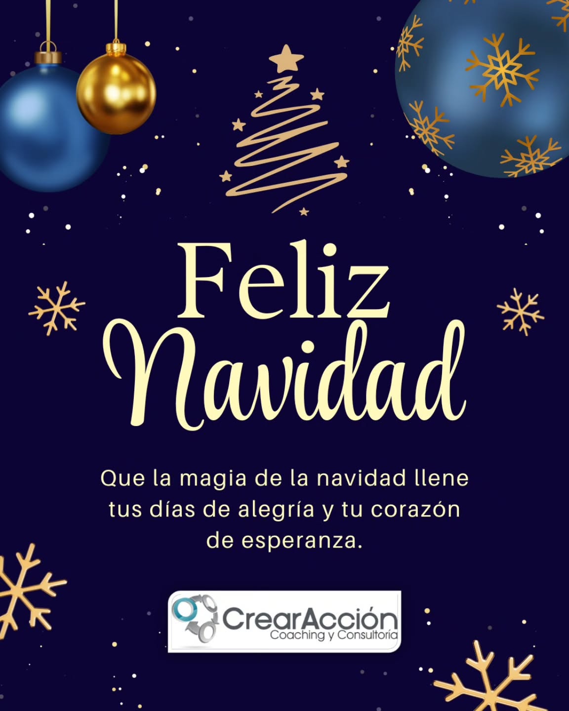 Les deseamos una Feliz Navidad y un Próspero 2026, que se cumplan todos sus sueños y proyectos 🙏🏻🎁✨🌲