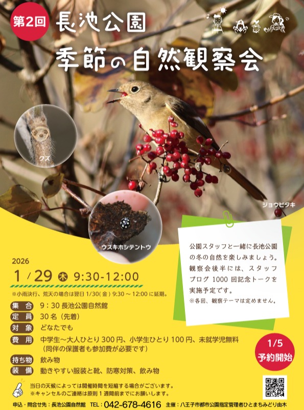 ãã€ãã³ãåç¥ã
ã第2åé·æ± å
¬åãå£ç¯ã®èªç¶èгå¯äŒã
ã»é嬿¥ïŒ1/29ã
â»äºçŽéå§ã¯1/5ïœ
ç³èŸŒããåãåããã¯é·æ± å
¬åèªç¶é€š
é»è©±ïŒ042-678-4616