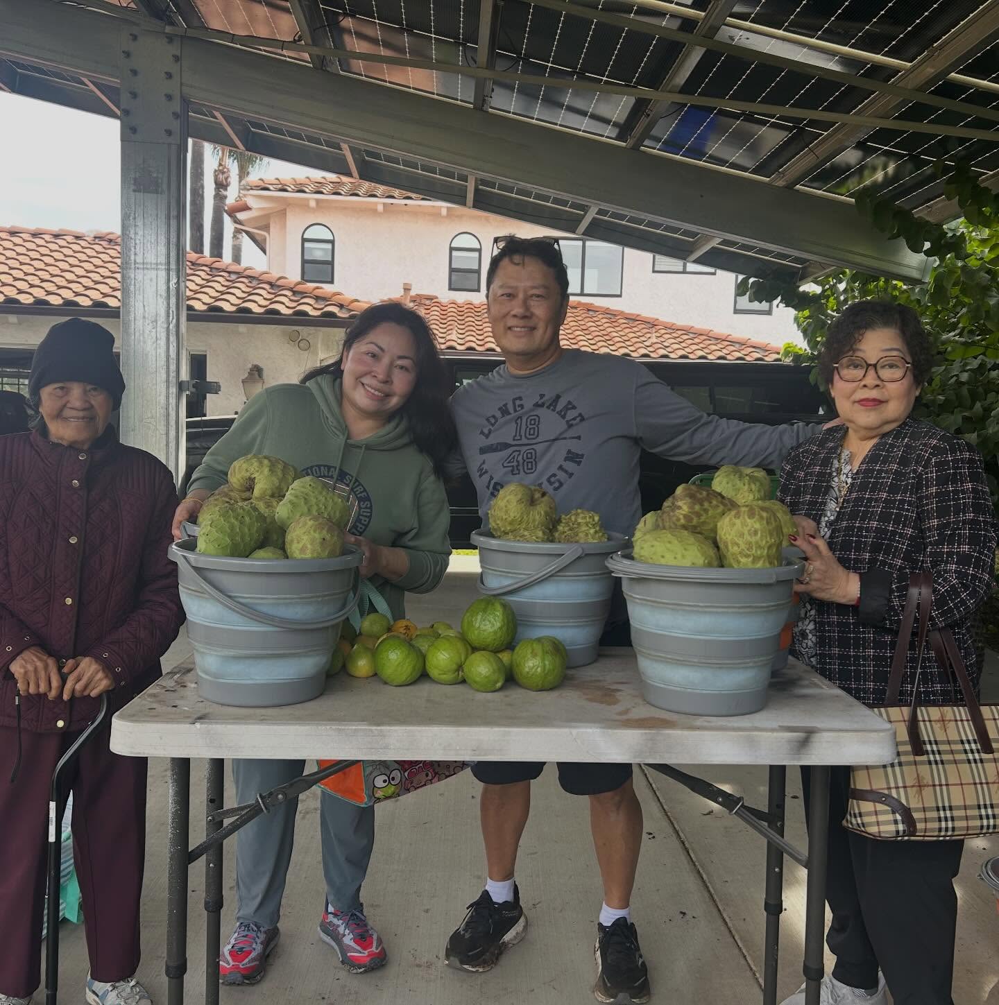 Cherimoya picking was prime today for our annual Minnesota customers. They took the prize for biggest picked Cherimoya this season. Amazing crop this year!
We are closed and will be open again Jan 11th. See you all in January ❤️