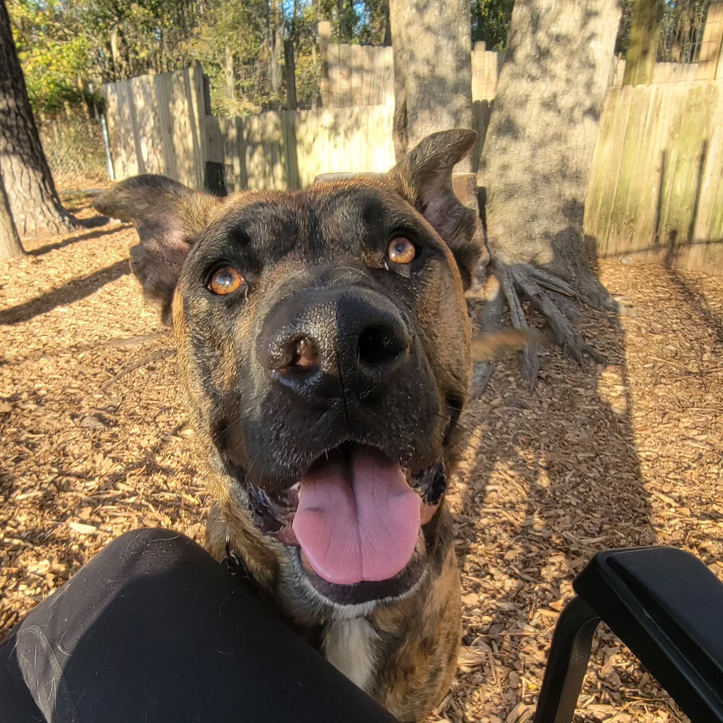 Ozark is the most handsome doof 😍❤️
