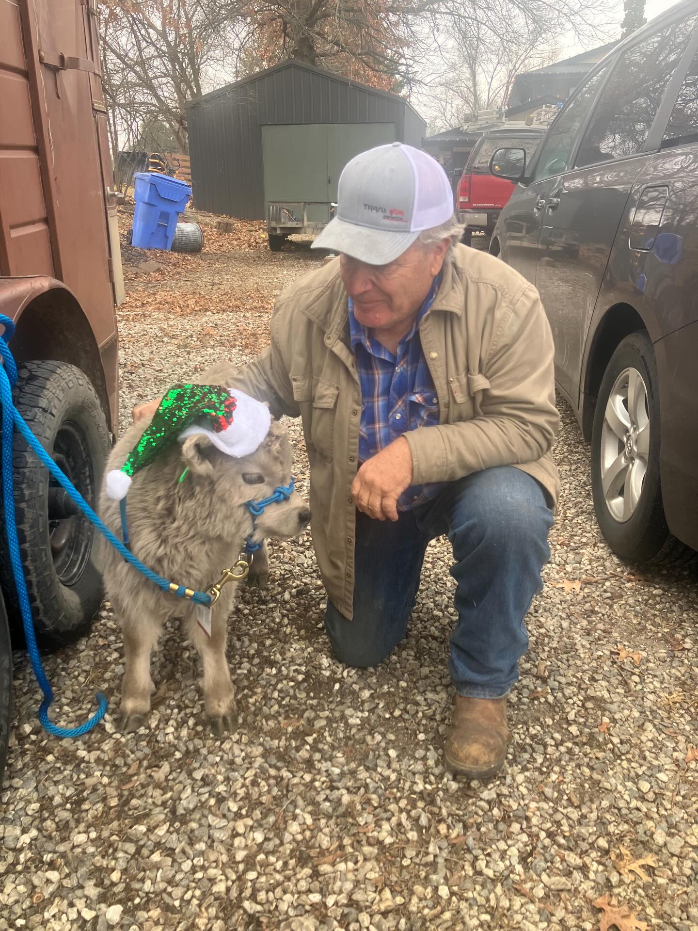 Started in Missouri this morning and going to make it JUST in time for Christmas. Meet our silver screen star Mr John Wyane. He will be joining Angus on the rounds this 2026 season as our beverage bovine