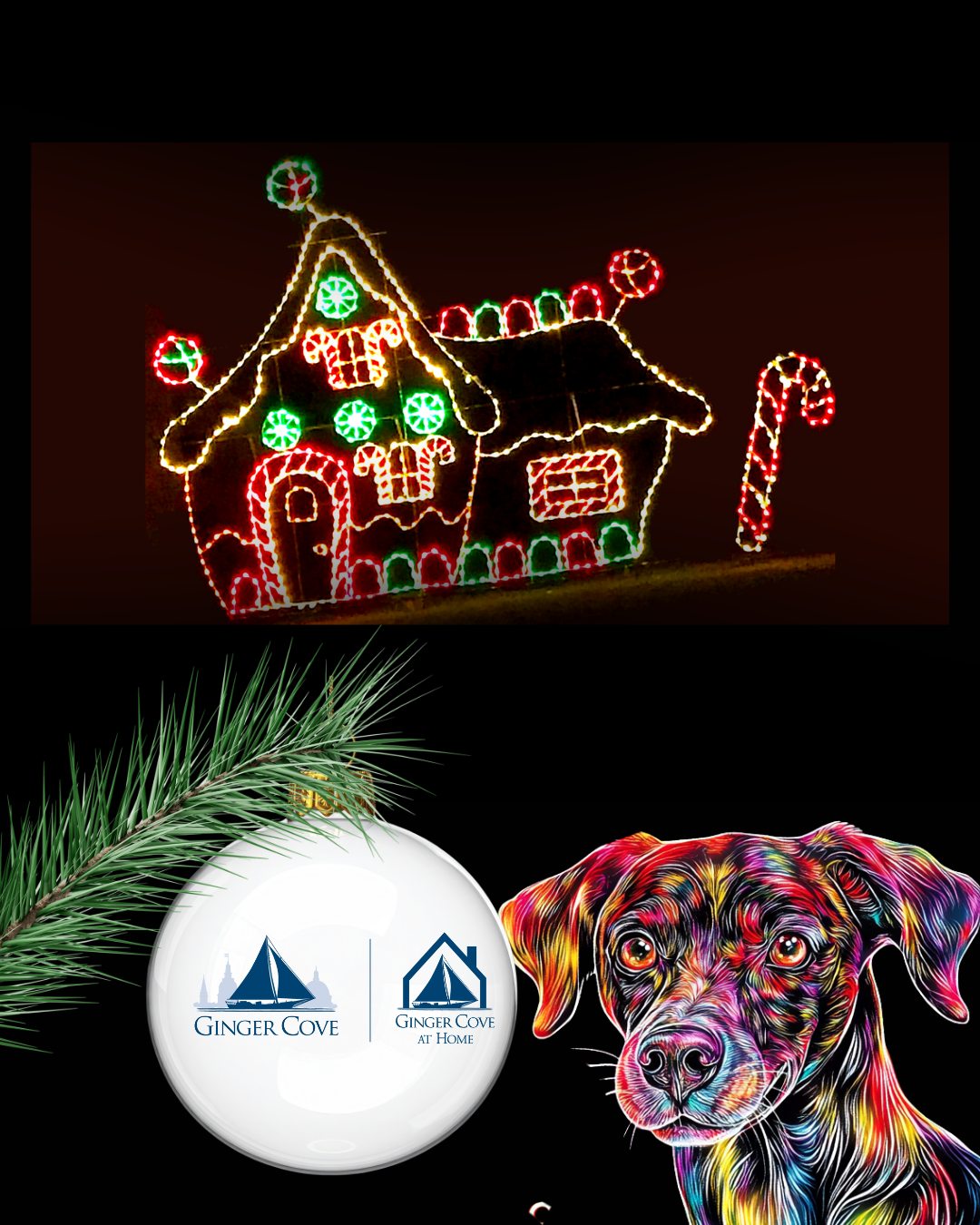 Thank you to Ginger Cove, Annapolis’ premier Life-Care retirement community on Gingerville Creek, for sponsoring Lights on the Bay. With beautiful waterfront surroundings, a full continuum of care, and a warm, pet-friendly culture, Ginger Cove offers both peace of mind and vibrant living. We’re grateful for their support of the SPCA of Anne Arundel County and the furry companions who make every stage of life richer.
#SPCAofAnneArundelCounty #AACSPCA #LightsOnTheBay #GingerCove #SeniorLiving