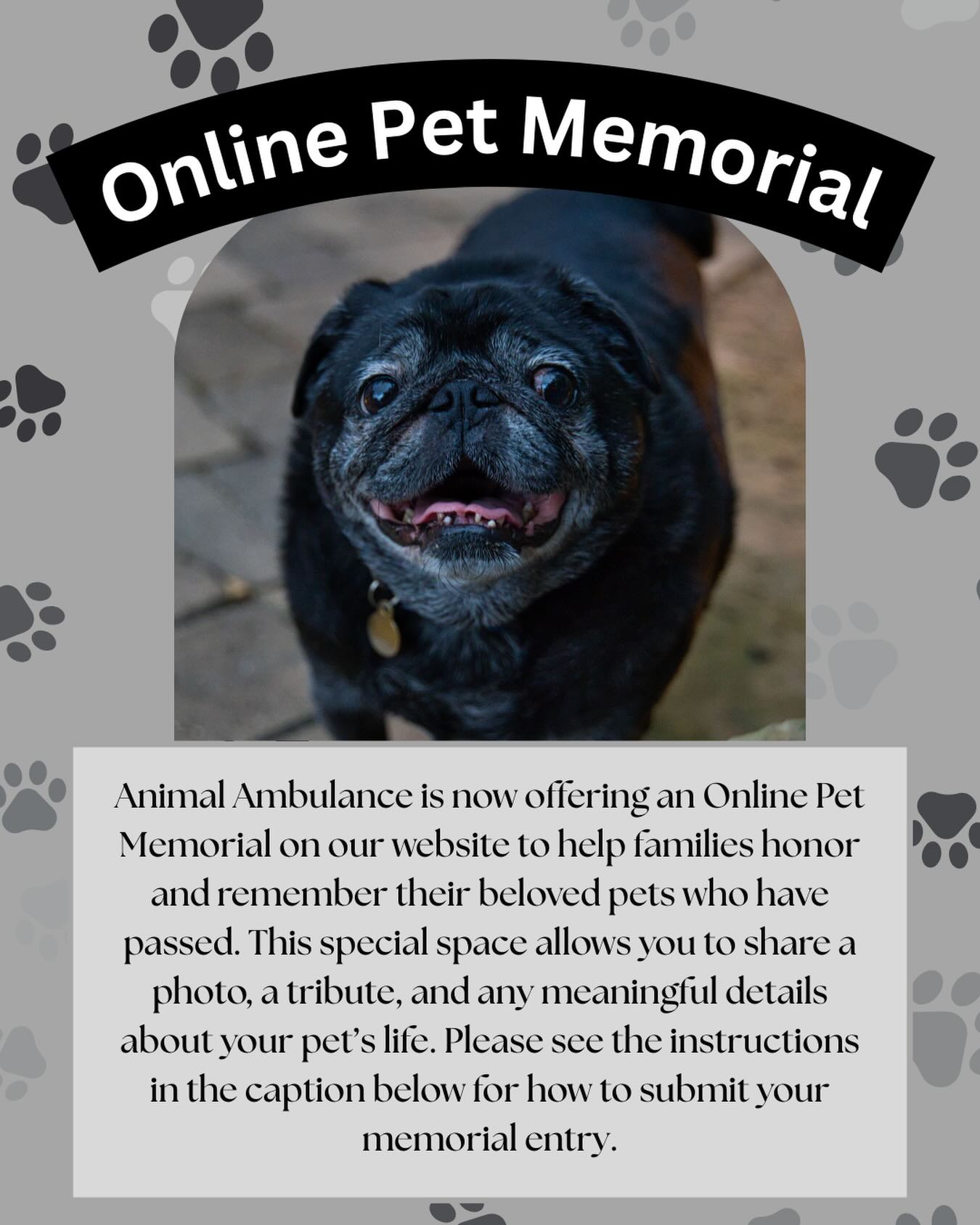 Our pets leave pawprints on our hearts, and now you can honor them on our Online Pet Memorial for our clients. Animal Ambulance now offers an Online Pet Memorial, a space to honor and celebrate the lives of your beloved companions.
To submit your memorial, simply fill out the form on our website and you can find the link in our Instagram bio.
We’re here to help keep their memory shining. 🕊️🌈🐾 If any questions email : animalambulance.k.berg@gmail.com