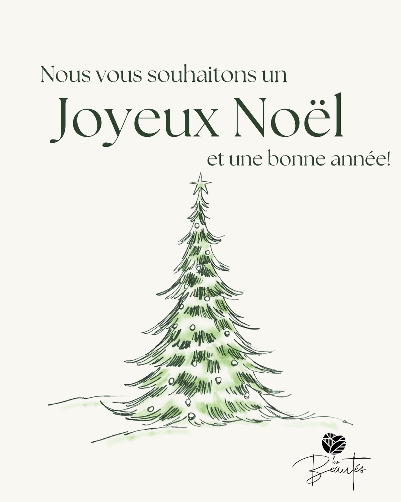 Joyeux Noël et bonne année! 🌟🎄