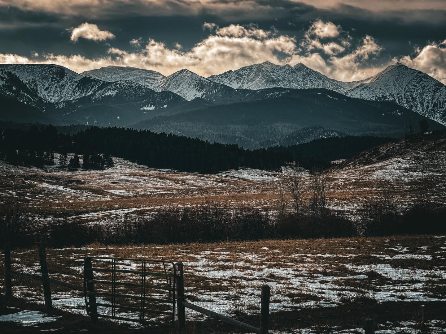 Went out for a hike - something to let the dog run off leash for a bit. Given that it was 50 degrees, there wasn’t a whole lot of snow on this Christmas Eve adventure…