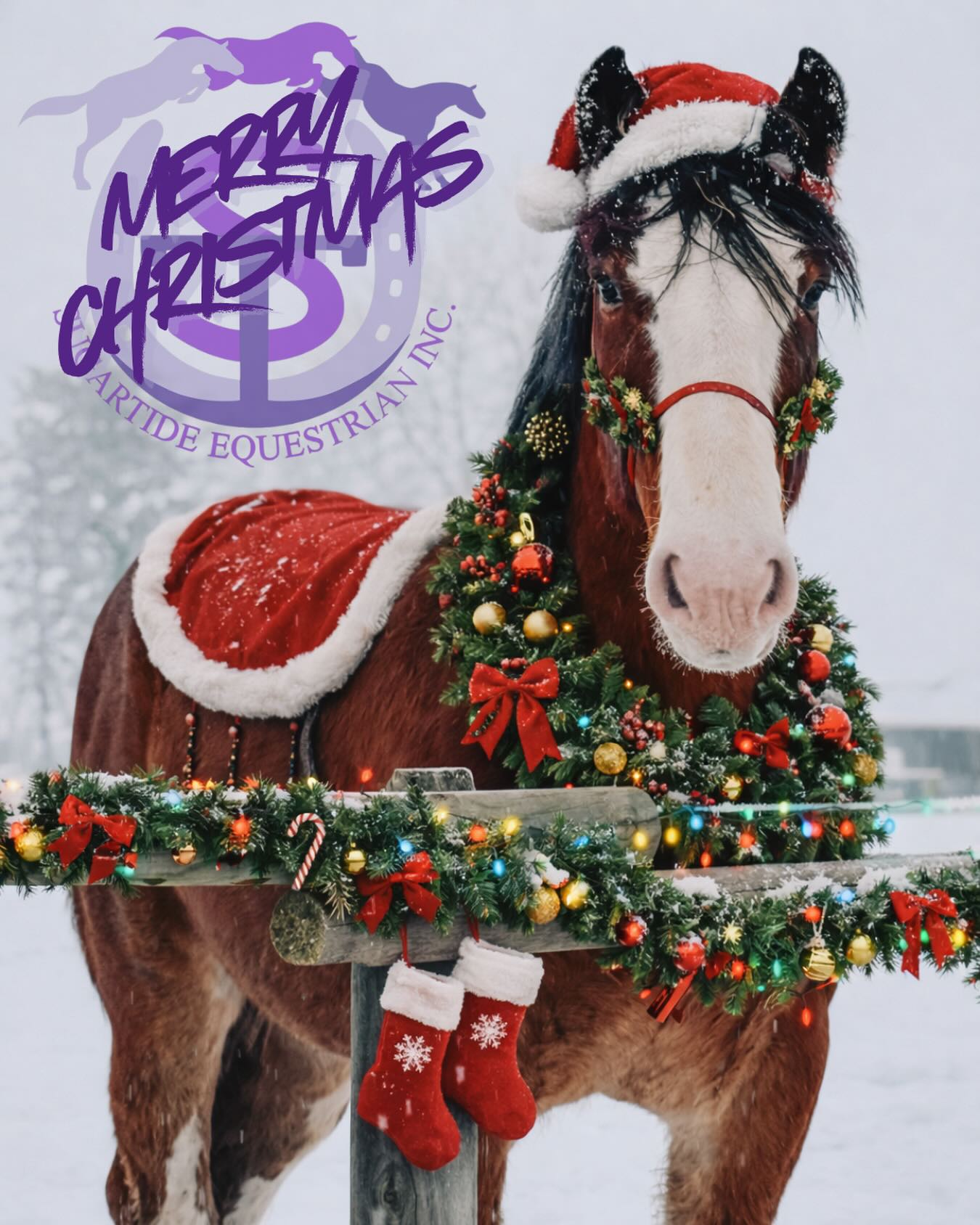 However you celebrate, Happy Holidays from all of us at SugarTide.
This year has been full of change, growth, hard work, and more than a few moments that reminded me why this place matters so much. I’m incredibly grateful for the riders, families, and horses that make up this barn, and for the trust you place in us every day.
Wishing you a peaceful holiday and a fresh start to the new year. Demi and I are really looking forward to what’s ahead and can’t wait for what 2026 has in store. 💜