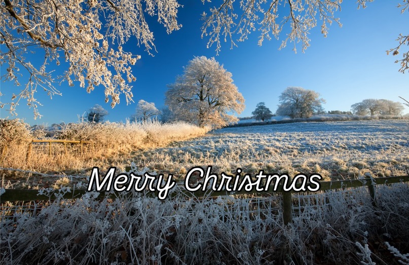 We are now closing the office until Monday 5th January.
Have a wonderful Christmas. 🎄
Best wishes
Abbie & Francesca