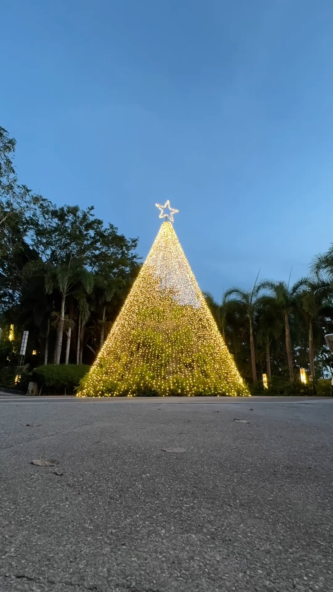 May your holidays be filled with warmth, joy, and radiant moments with the ones you love. 🎄✨
From all of us at Sunlight Hotels & Resorts, we wish you a very Merry Christmas!