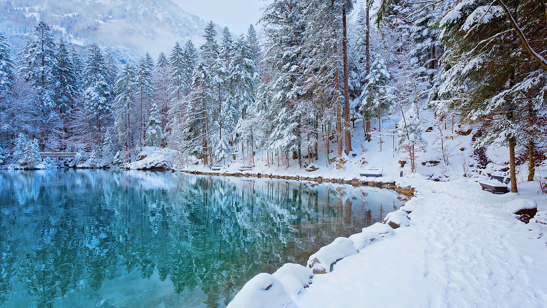 Winter has arrived! โ๏ธ Time to pause, prepare, and press forward. Let's embrace this season of reflection and growth. Join us on this journey. Link in Bio