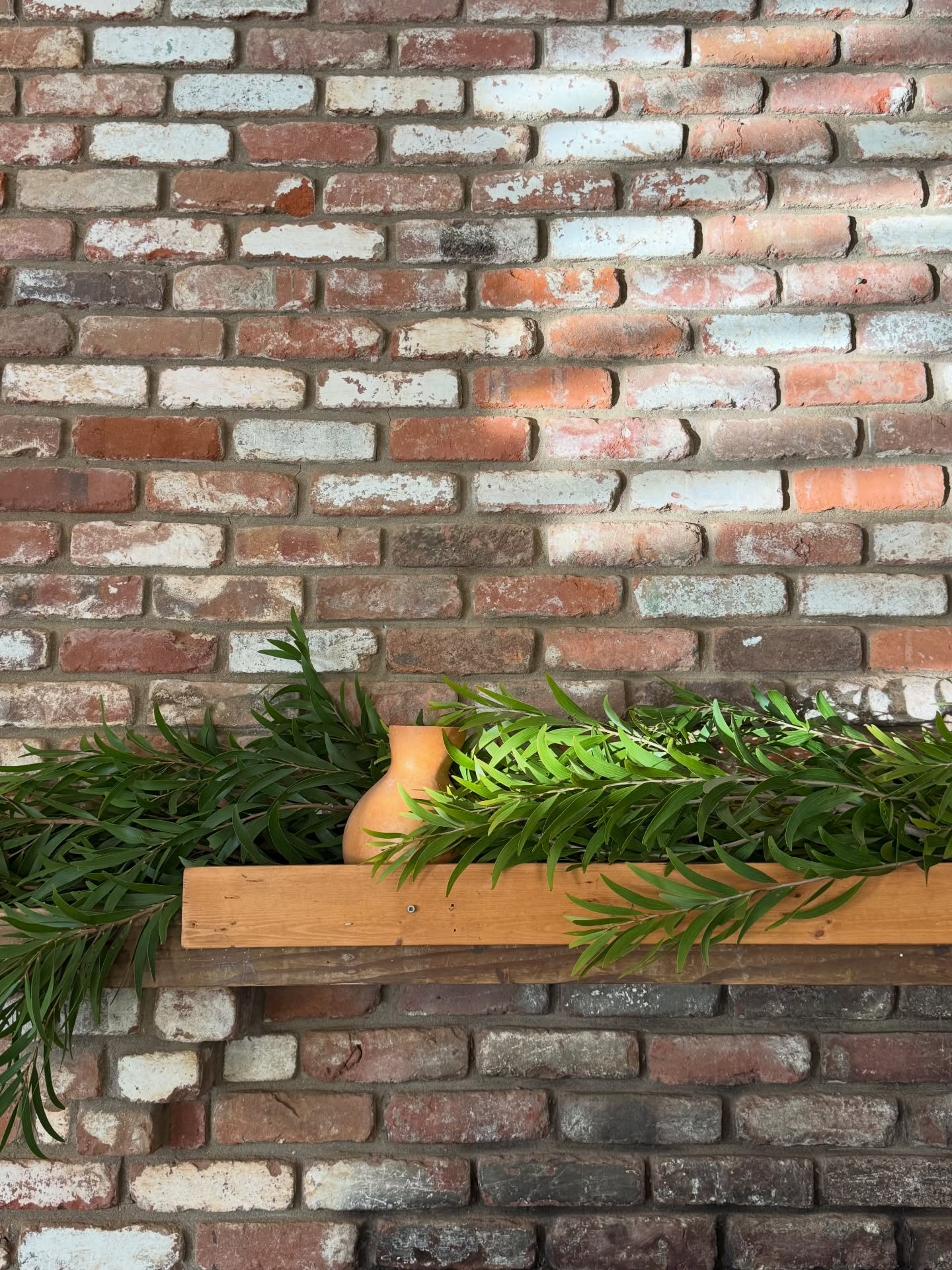 Wishing you and your ʻohana a very Merry Christmas & a Happy New Year 🎄
Aloha from the Camp Pālehua Crew