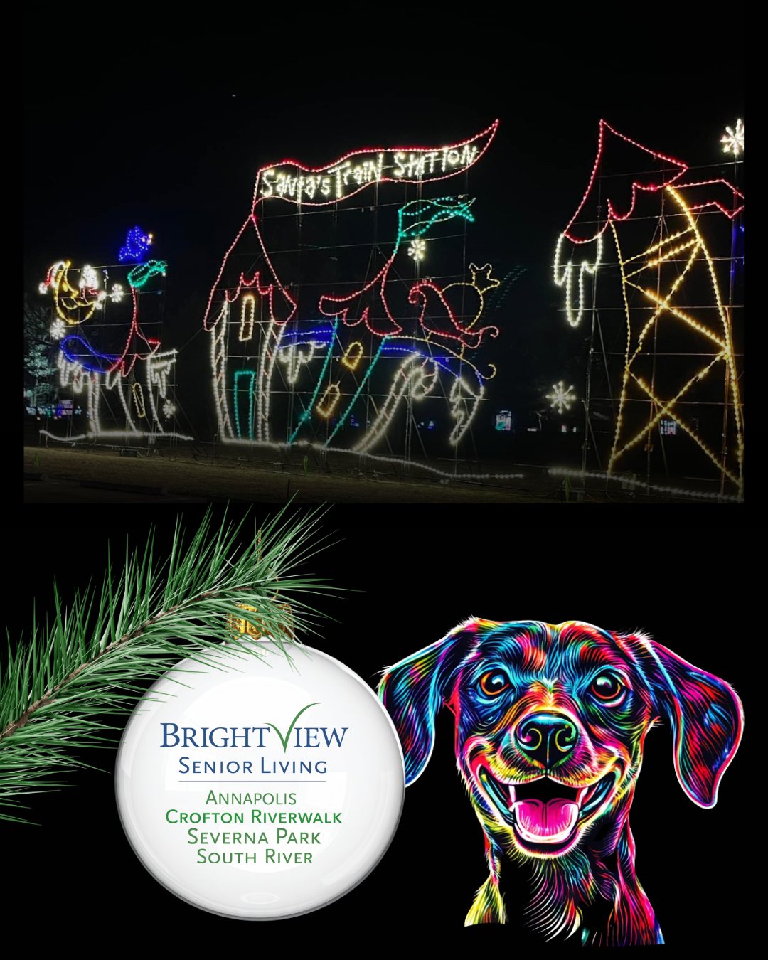We’re grateful to Brightview Senior Living for helping make Lights on the Bay sparkle. With independent living, assisted living, and memory care communities, Brightview focuses on vibrant days, meaningful moments, and personalized support for every resident. Thank you, Brightview, for supporting the SPCA of Anne Arundel County and for bringing joy to both seniors and shelter pets in our community.
#SPCAofAnneArundelCounty #AACSPCA #LightsOnTheBay #BrightviewSeniorLiving #SeniorLiving