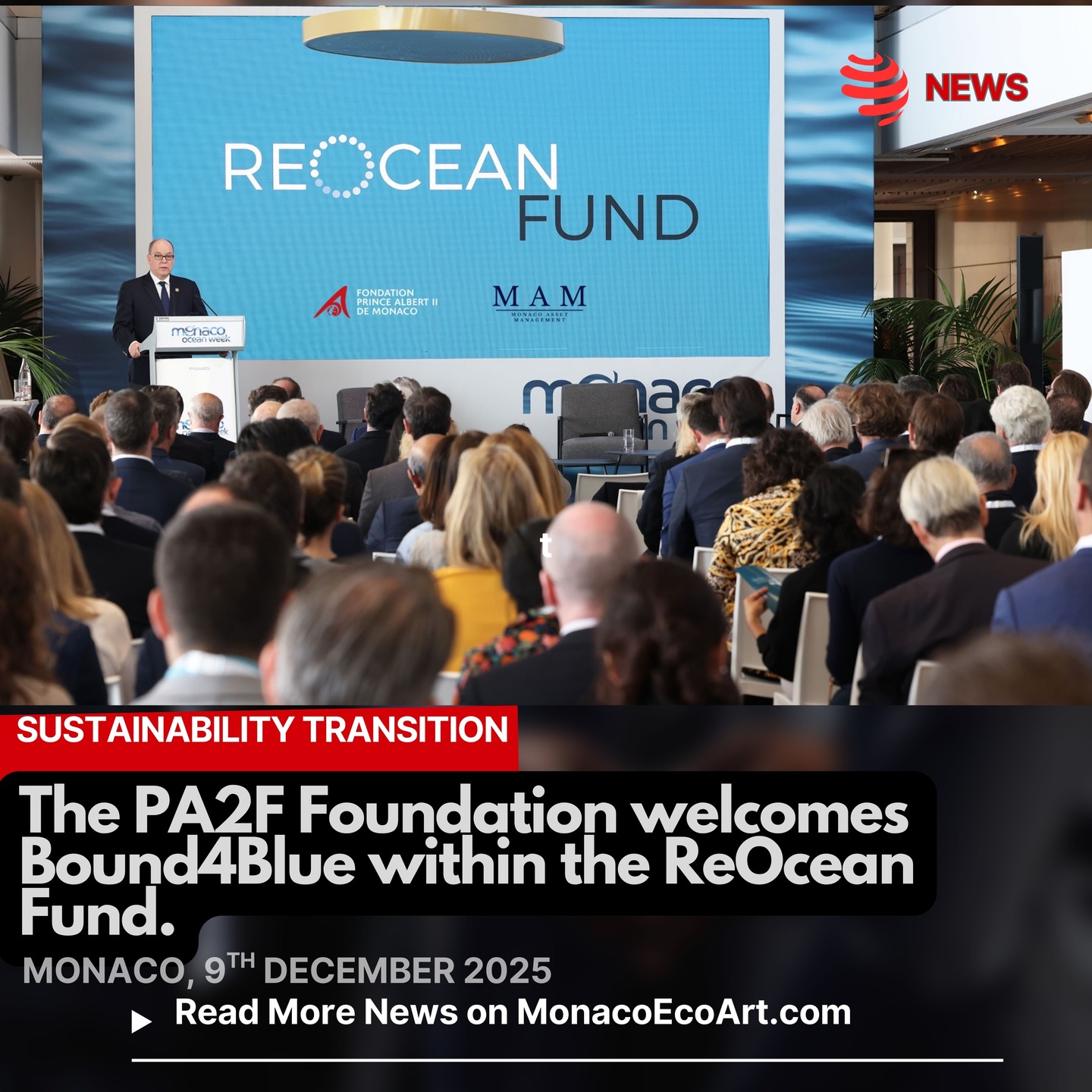 ✒🇲🇨 MONACŒCOART®
🏦🌊SUSTAINABILITY TRANSITION
🇬🇧🇺🇸 The PA2F Foundation welcomes Bound4Blue within the ReOcean Fund.
🇫🇷 La Fondation Prince Albert II de Monaco accueille Bound4Blue au sein du Fonds ReOcean.
🇮🇹 La Fondazione Principe Alberto II di Monaco dà il benvenuto a Bound4Blue all'interno del Fondo ReOcean.
🇪🇸 La Fundación Príncipe Alberto II de Mónaco da la bienvenida a Bound4Blue al Fondo ReOcean.
Read the full text of the article at: www.monacoecoart.com
#action #biodiversity #conservation #ecosystem #climate #ocean #sustainability #mitigation #nature #economy #Governance #marine #energy #finance #philanthropy #blue #renewable #partnership #investment #fund #adaptation #asset #service 📸 © @fondationprincealbert2 @fpa2canada @fpa2.italia @fpa2espana @bound4blue - Contents and Layout: © MonacoEcoArt.com