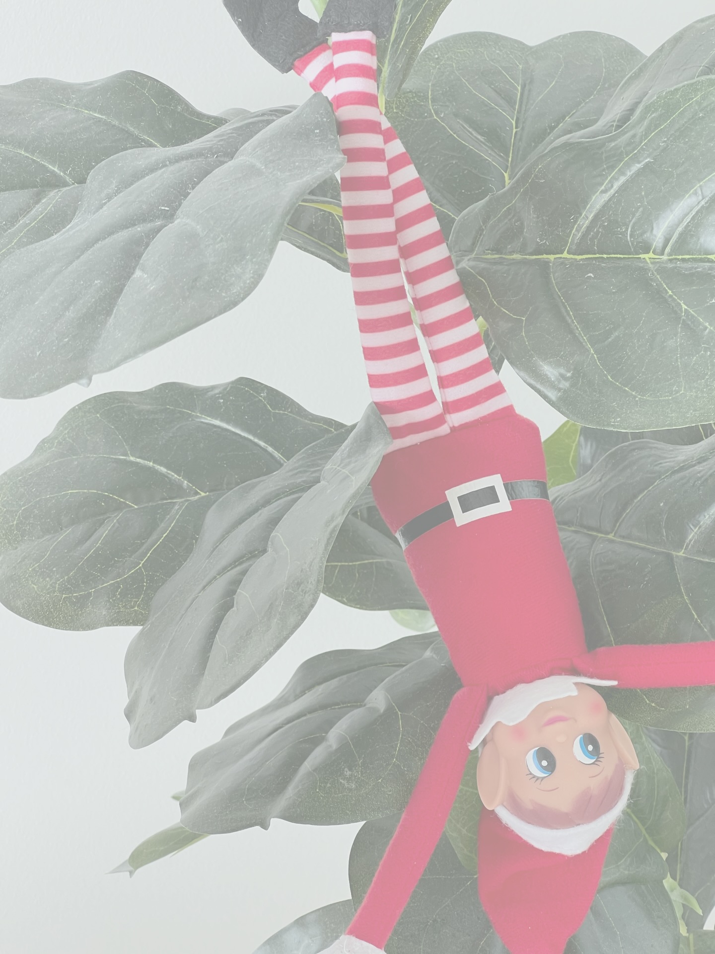 As the year ends I just want to say, a big thank you for all your love and support this year 💝💝
Whether it was our first time meeting or celebrating anotherrr browversary together 🥹🥹 it’s been an amazing year and so rewarding to be apart of your special moments 🫶 I wish you all a safe and joyful holiday season filled with relaxation and meaningful connections with your loved ones✨ I can’t wait to see what’s in store for us all in the new year!! 🙌🎊
I will be back from 10th Jan (my messages will not be monitored during this time).
With love,
Soph 🧡