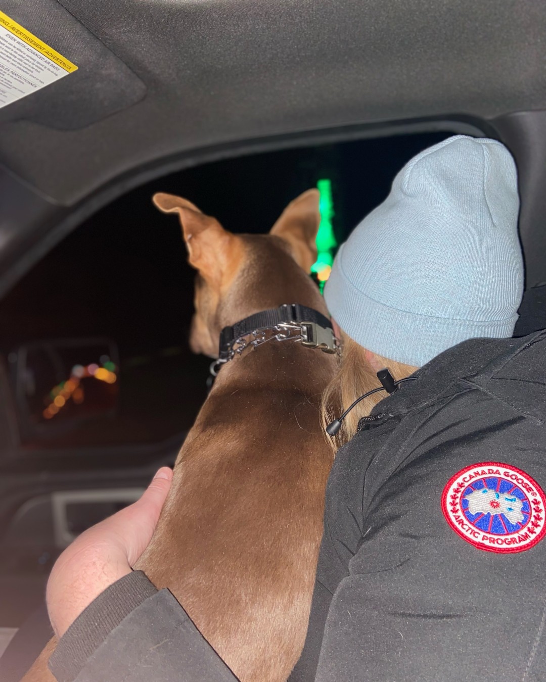 🎄🚗 Eyes on the Lights, Nose to the Window 🚗🎄
If your dog insists on having the best view in the car, you’re doing Lights on the Bay exactly right. Cozy sweaters, glowing displays, and memories made together — one slow drive at a time.
Tickets available online or at the gate.
👉 https://www.lightsonthebaymd.org
#LightsOnTheBay #HolidayMagic #PetsLoveLights #FamilyFun #SPCAofAnneArundelCounty