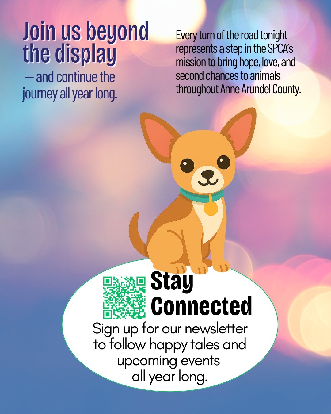 🐾✨ Join us beyond the display. ✨🐾
Every turn through Lights on the Bay supports animals in need throughout Anne Arundel County. When the lights fade, the impact continues all year long.
📬🐾 Stay Connected
Love Lights on the Bay? Stay connected all year long with happy tails, events, and ways to help animals in need.
👉 https://www.lightsonthebaymd.org
#LightsOnTheBay #StayConnected #HappyTails