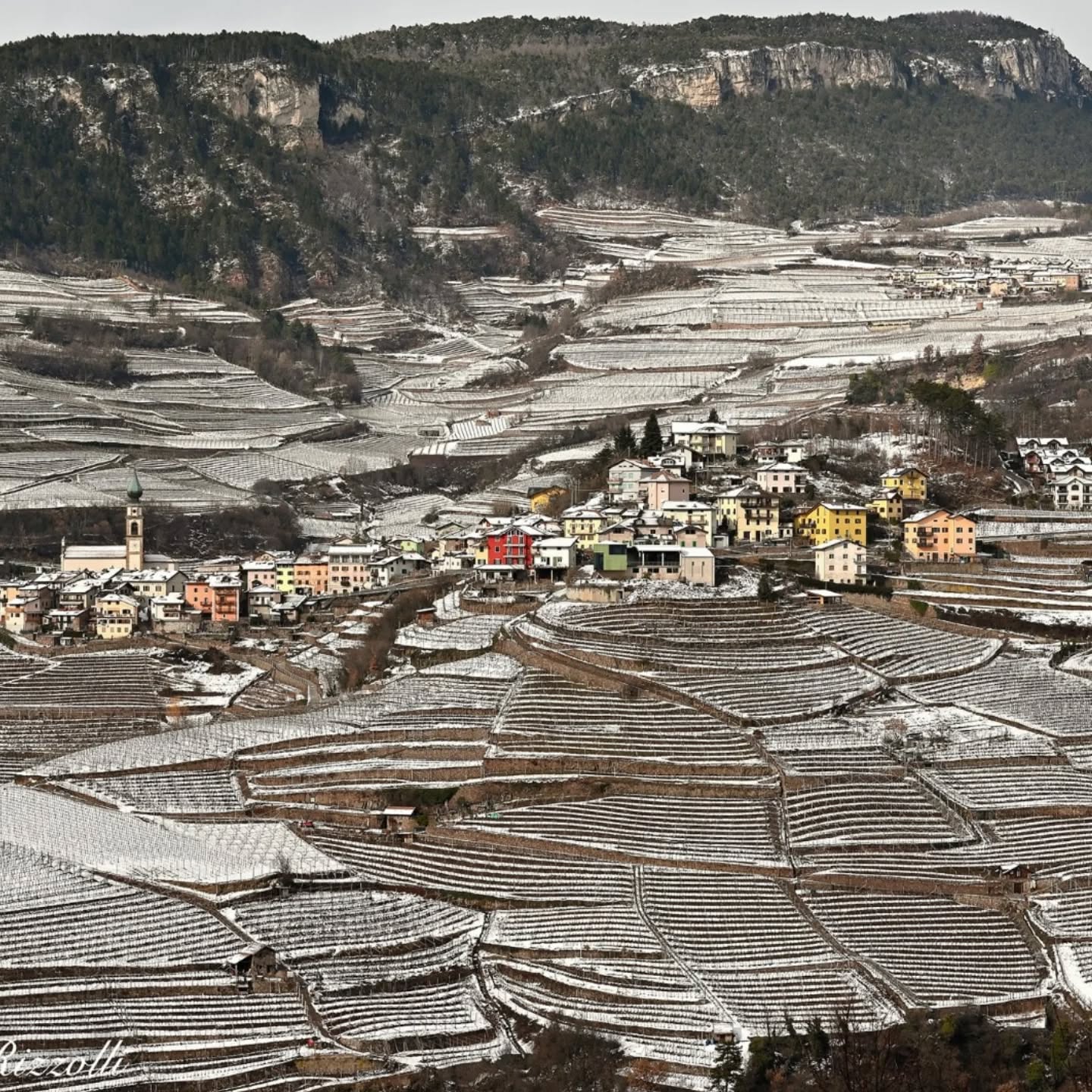 Quando l’inverno arriva sui terrazzamenti di Giovo, in Val di Cembra, il lavoro in vigna si ferma. La neve protegge i filari e la montagna entra in una fase di riposo naturale. In cantina, però, il tempo non si interrompe: i vini continuano il loro percorso, seguendo ritmi lenti e precisi. È qui che l’attesa diventa parte del lavoro, e dove la montagna, anche nel silenzio, continua a esprimersi nel vino.
#Giovo
#ValDiCembra
#Trentino
#TrentinoAltoAdige
#MontagnaTrentina
Ph: @diegorizzolli