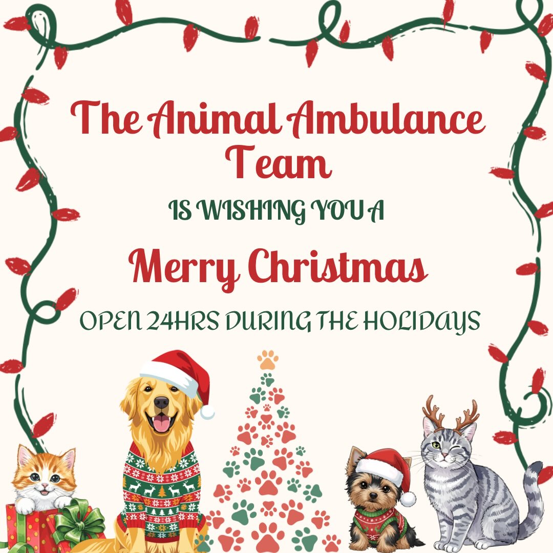 Merry Christmas from the Animal Ambulance team! 🎄 Wishing everyone a holiday filled with love, laughter, and furry cuddles. 🐾🤍Just a friendly reminder that we’re available around the clock, including Christmas Eve and Christmas Day, for any animal emergencies. Stay safe and enjoy the festivities! All of our contact info is in our bio and link tree !