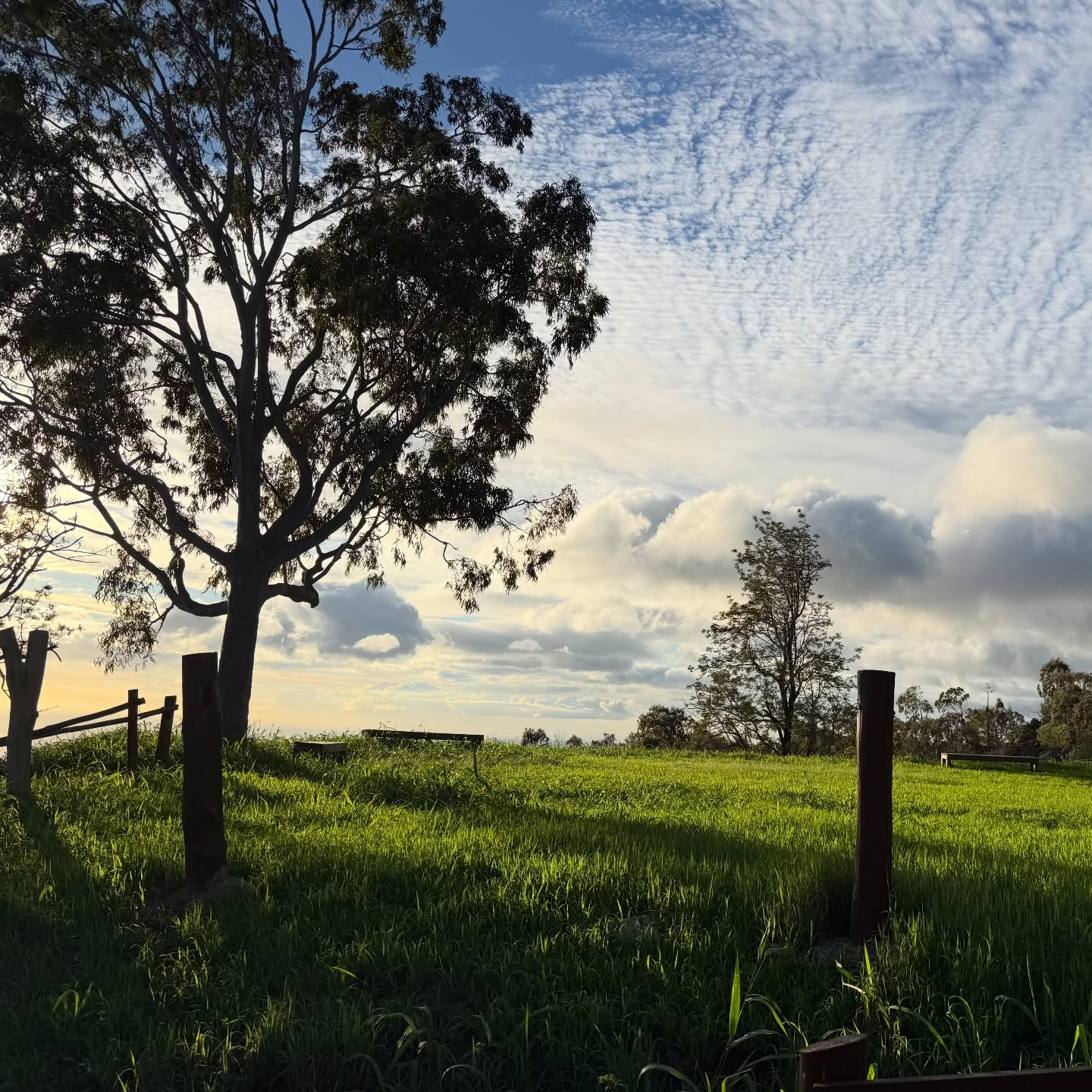 Winter brings quiet growth at Camp Pālehua. The Makahiki field is coming back to life. 🌱