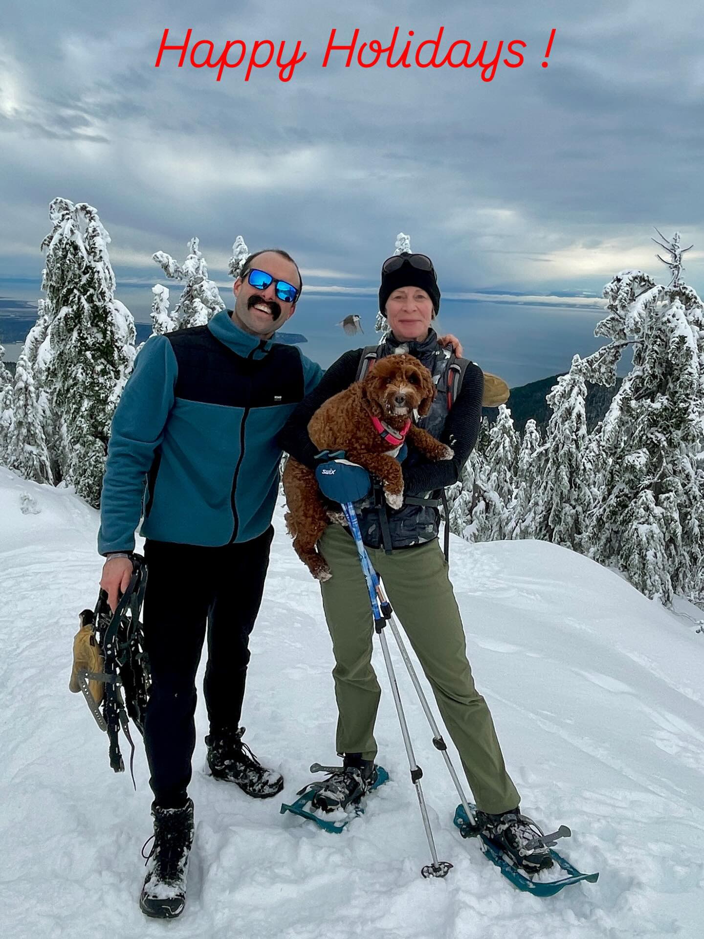 My favourite Christmas tradition is being in nature enjoying the snow and fresh, cold mountain air. #climbamountain #getoutside #natureisthecure #athleteatheart #healthyageing