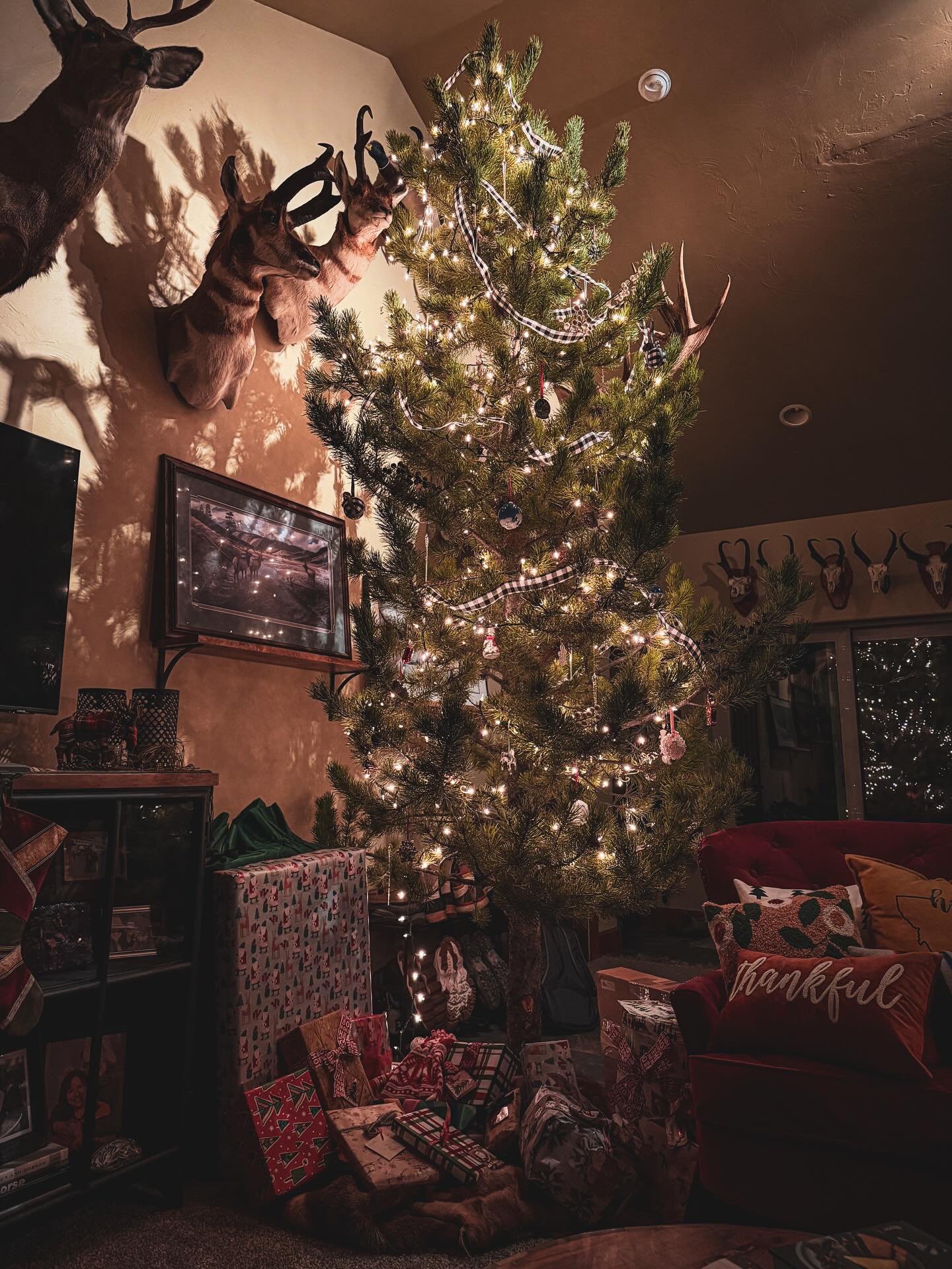 I’ve always been a morning person, but there’s something extra magical about being the first person up on Christmas morning…slowly sipping my coffee with the dog curled up at my feet, soaking in the glow of the Christmas lights…🎄
Merry Christmas to all my family and friends! May it be a magical one for you 💖