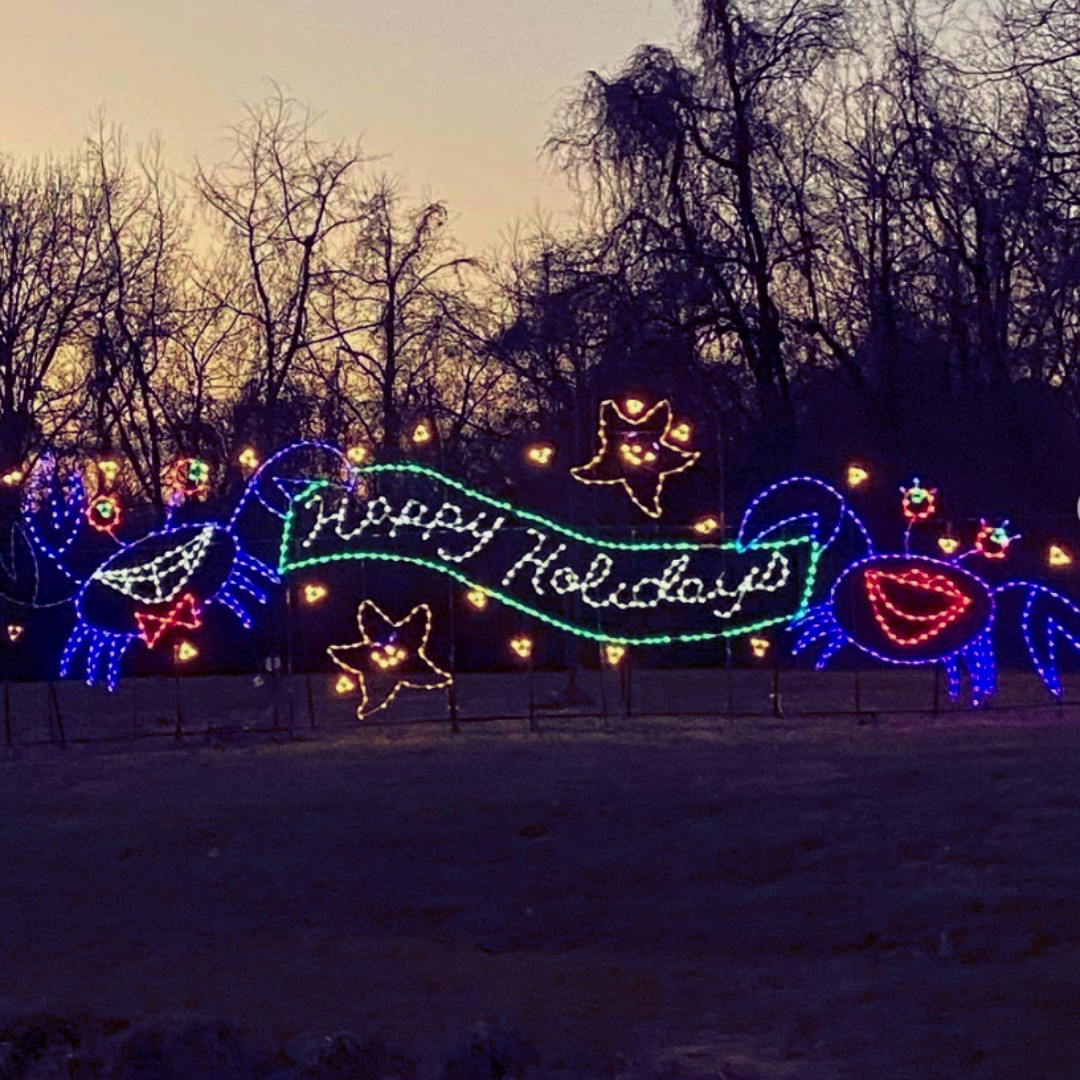 ✨🎆 Ringing in the New Year with lights and love 🎆✨
As the year winds down, Lights on the Bay continues shining bright — supporting animals every step of the way.
👉 https://www.lightsonthebaymd.org
#LightsOnTheBay #NewYearCountdown #BrightBeginnings
