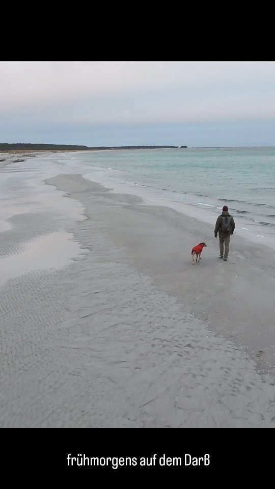 Kommt mit auf unsere absolute Lieblingsrunde – von Prerow in das Naturschutzgebiet Darßer Ort und zum herrlichen Weststrand!
#zingstdarssfischland #darsserort #ostseehund #mithundammeer #allesaustau
